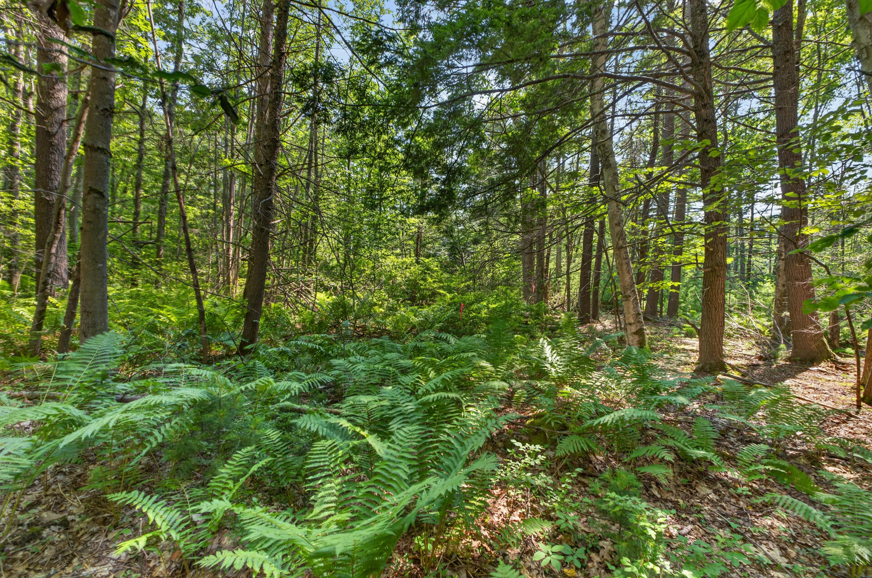81 Mountain Road Lot A