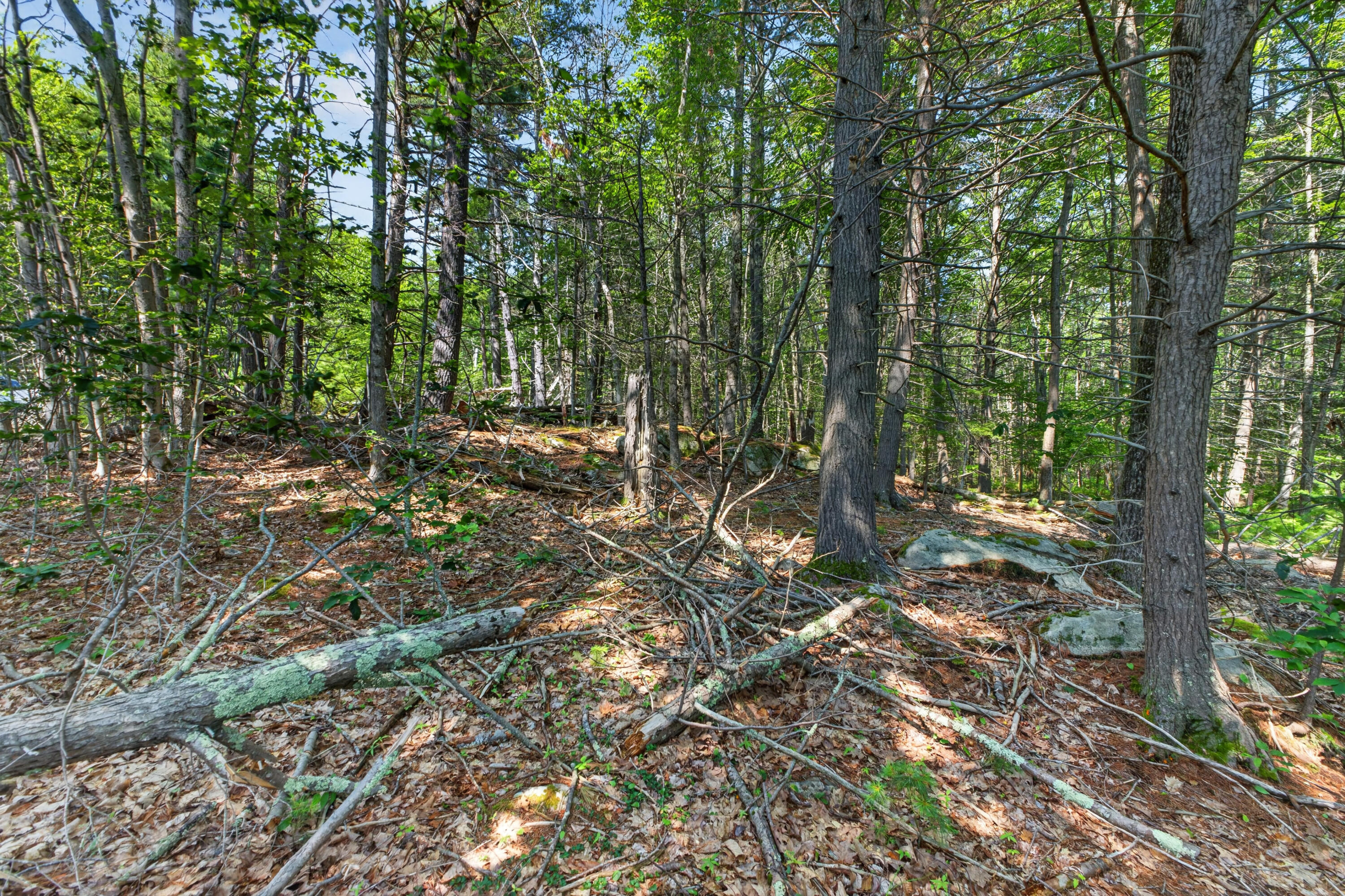 81 Mountain Road Lot A