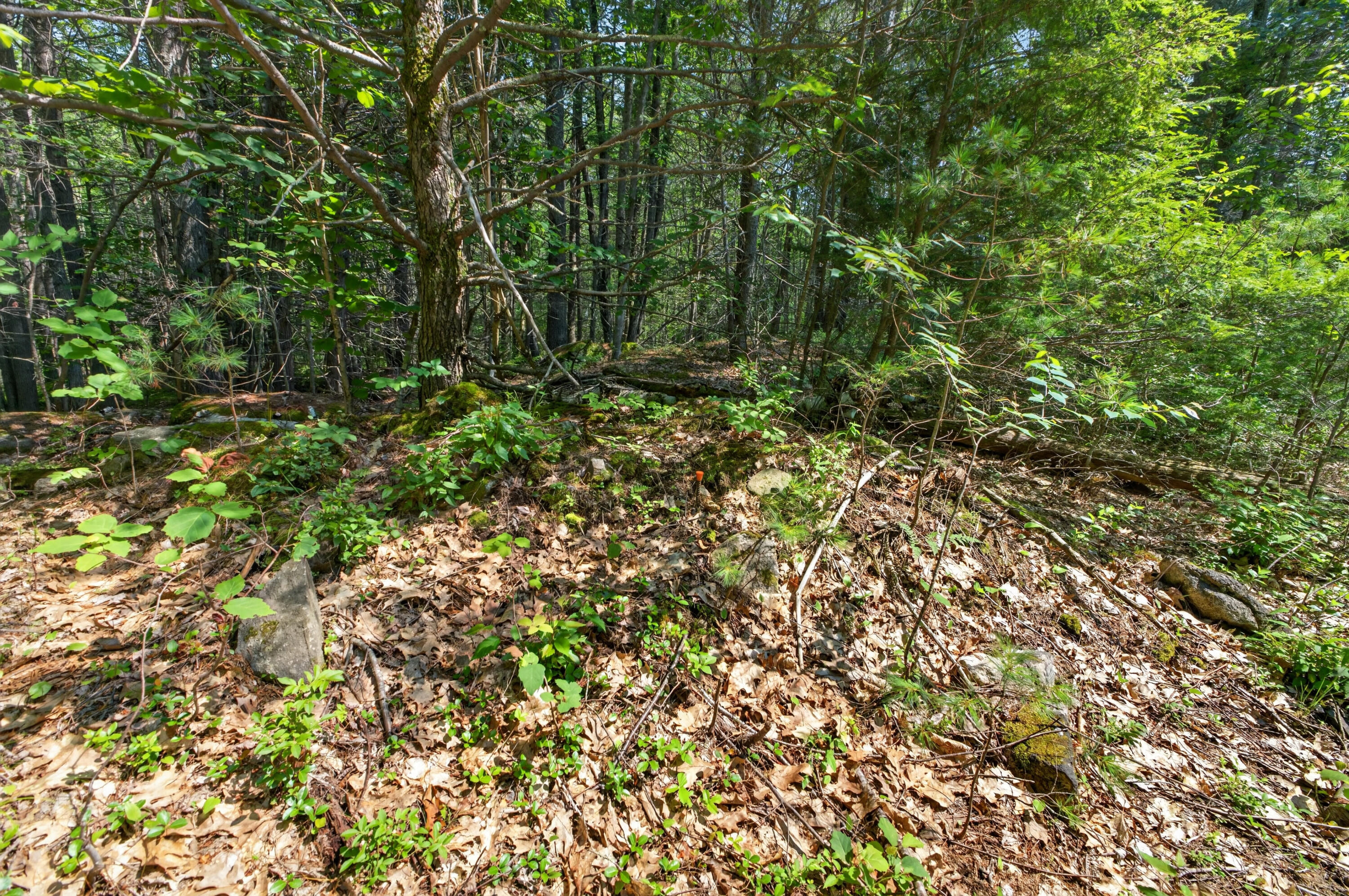 81 Mountain Road Lot A