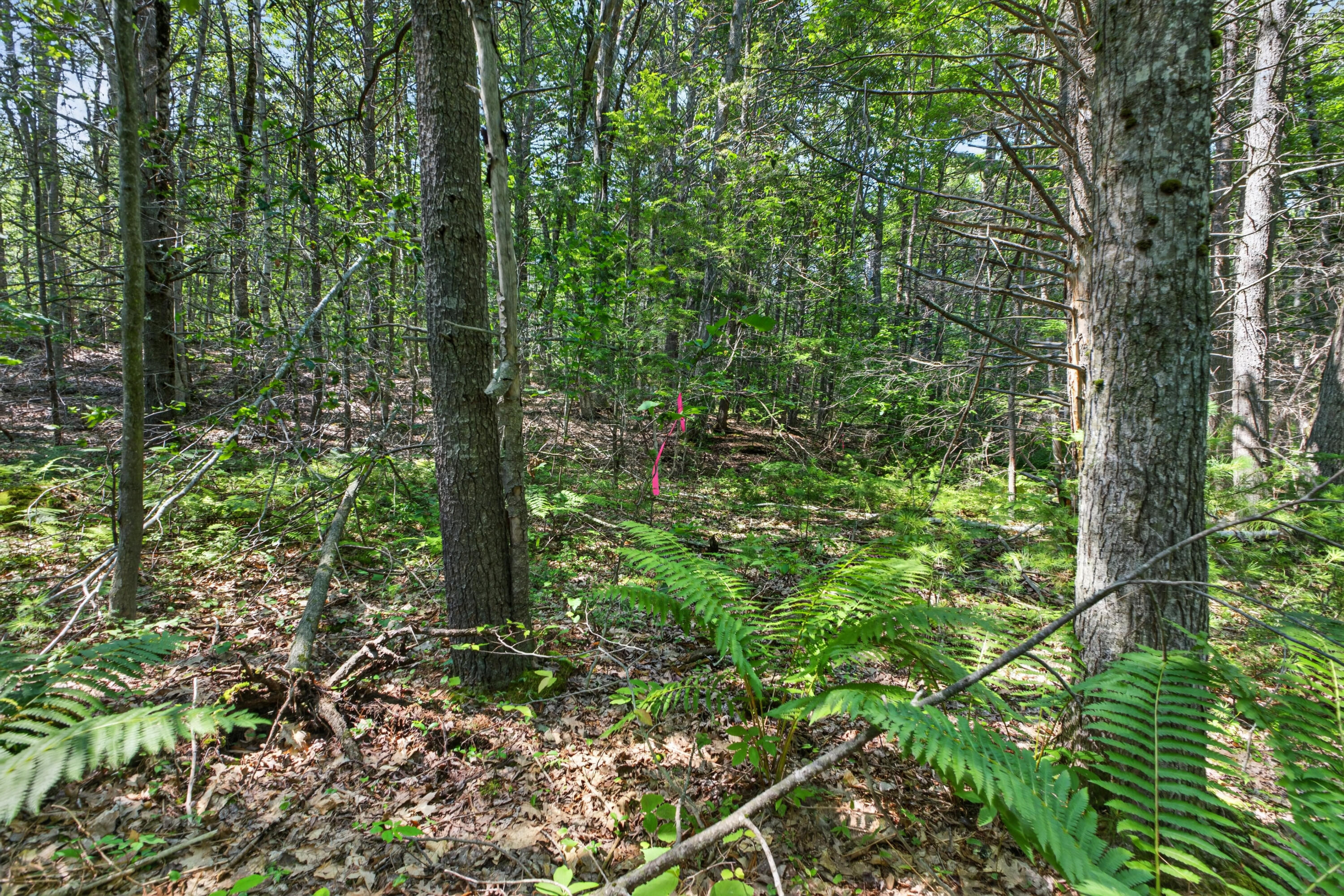 81 Mountain Road Lot A