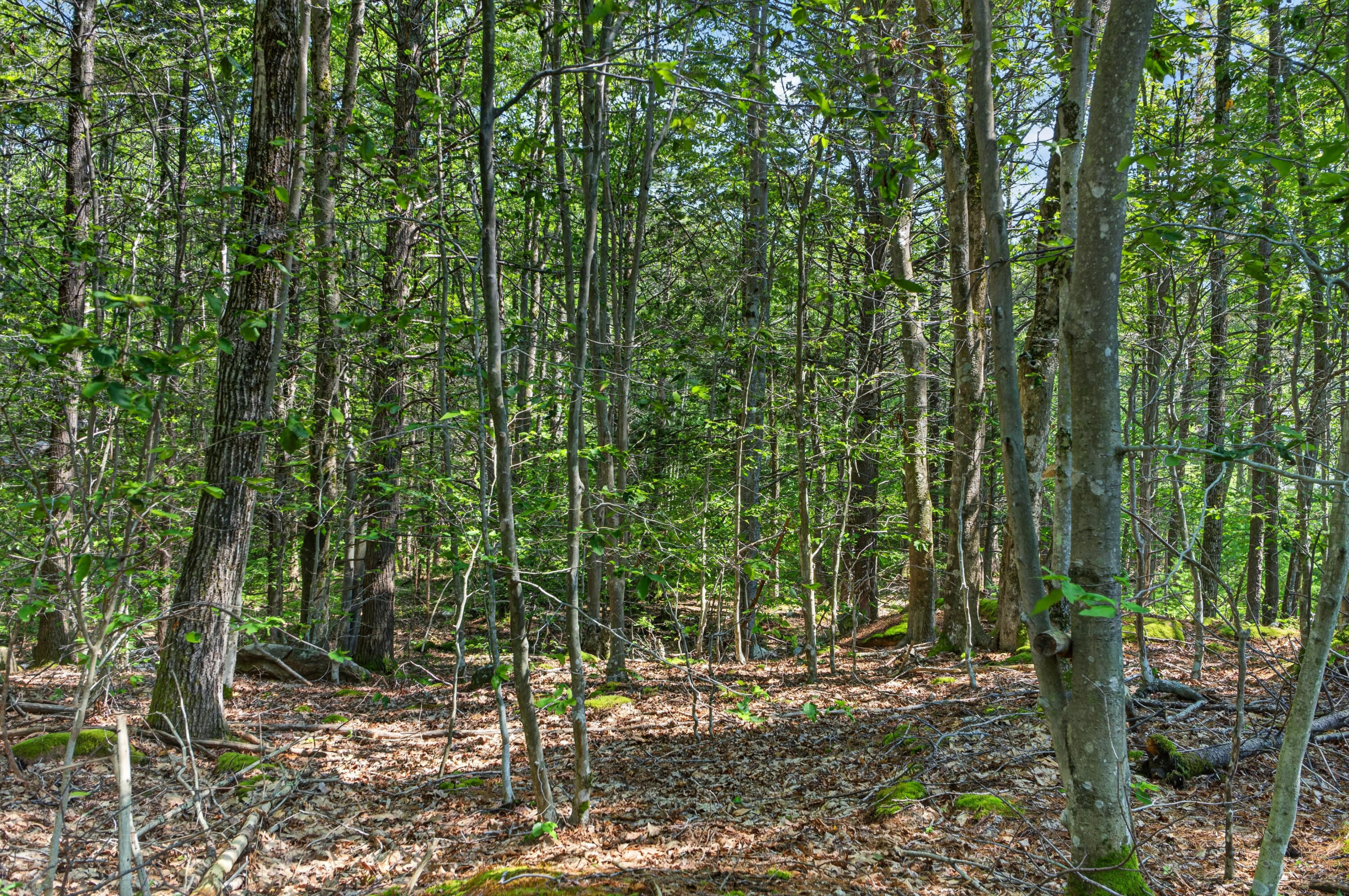81 Mountain Road Lot A