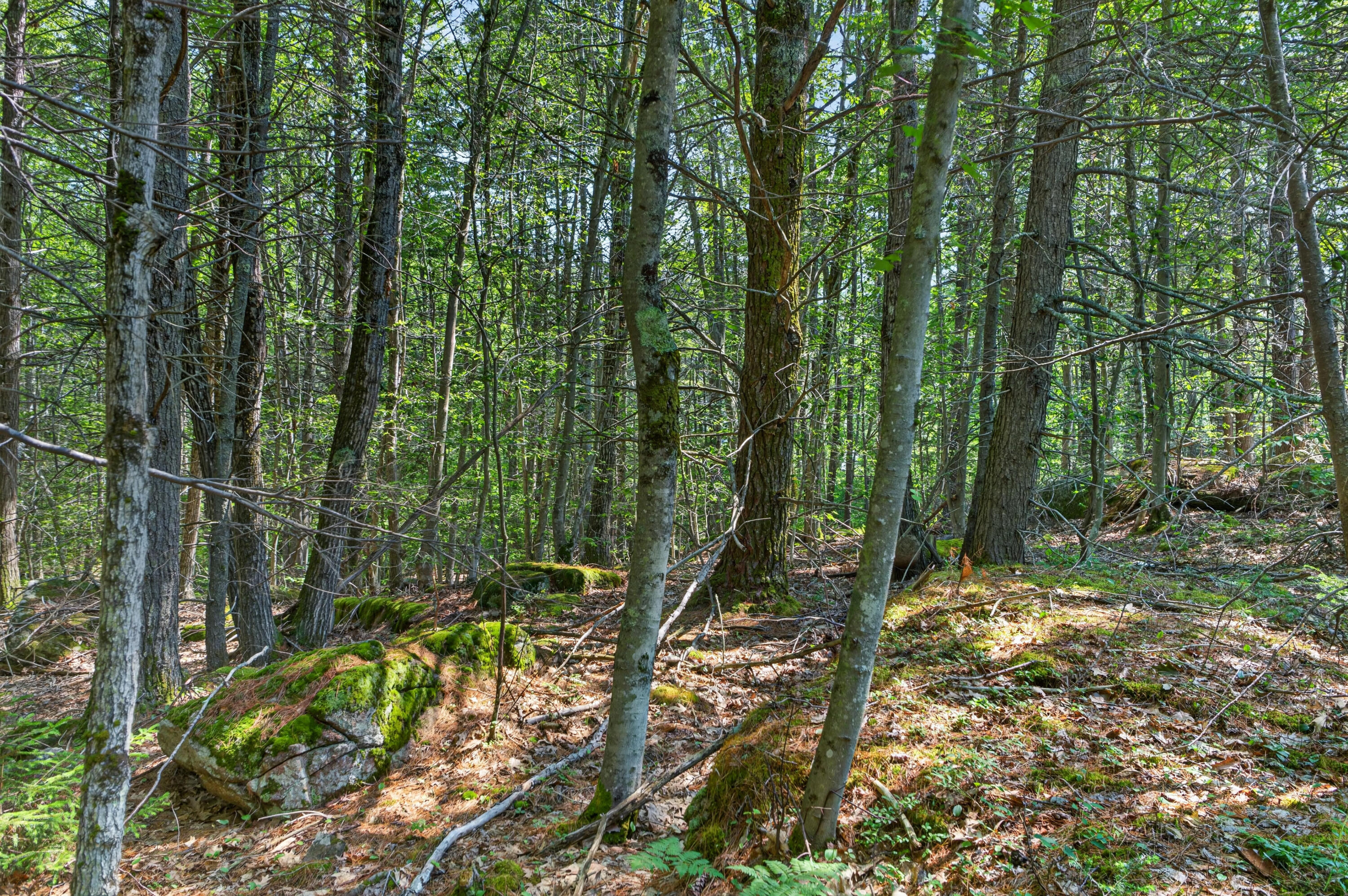 81 Mountain Road Lot A