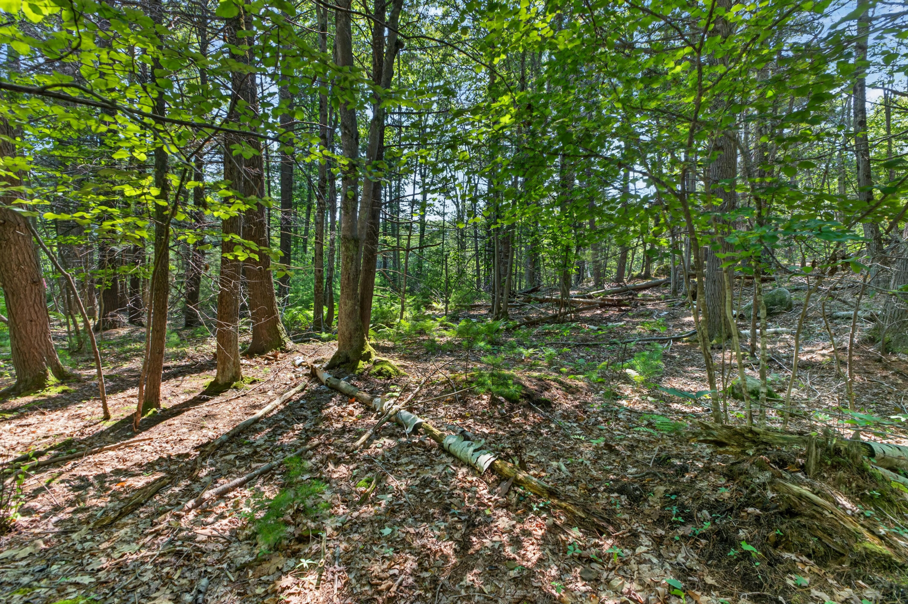 81 Mountain Road Lot A