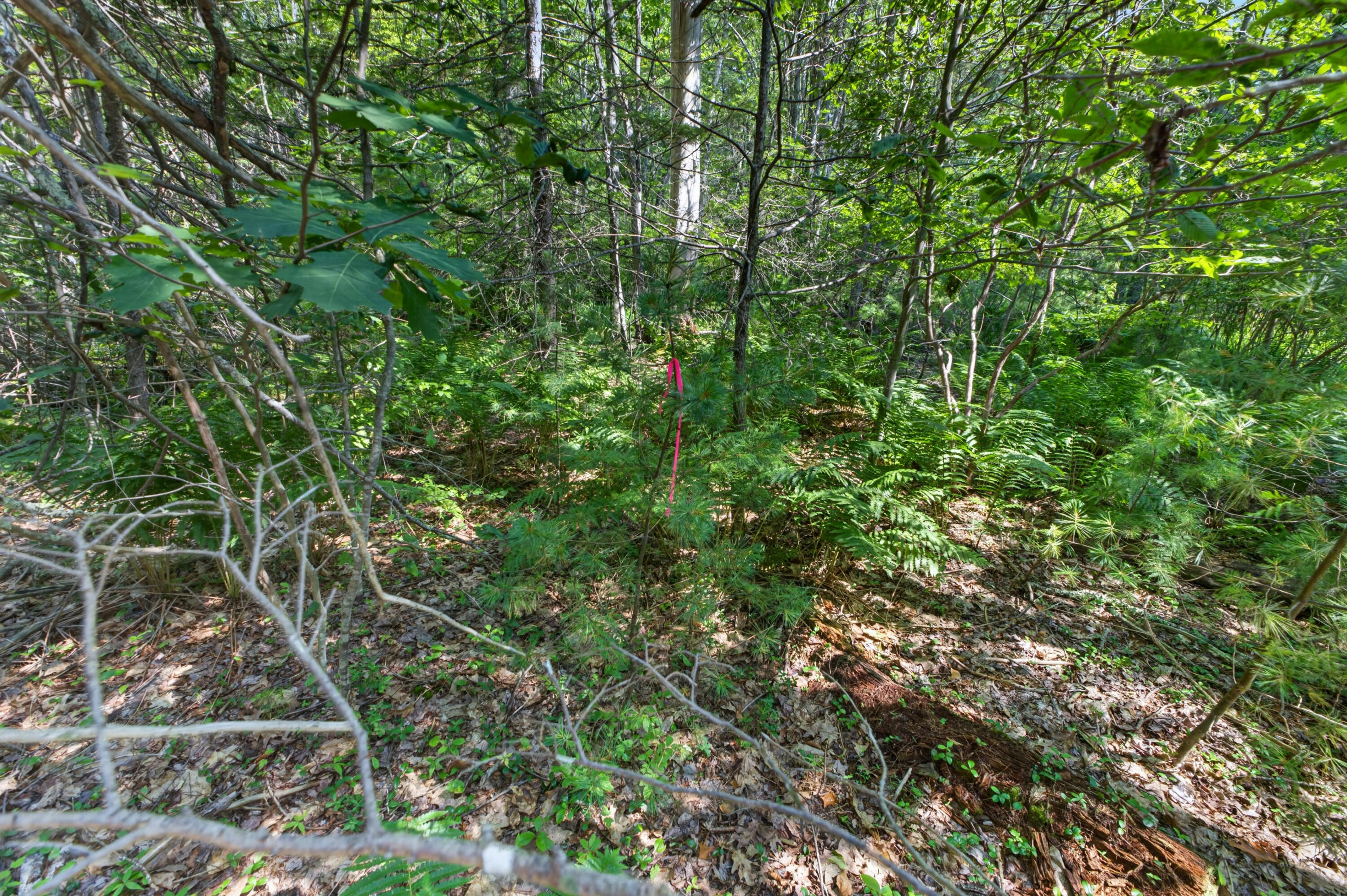 81 Mountain Road Lot A