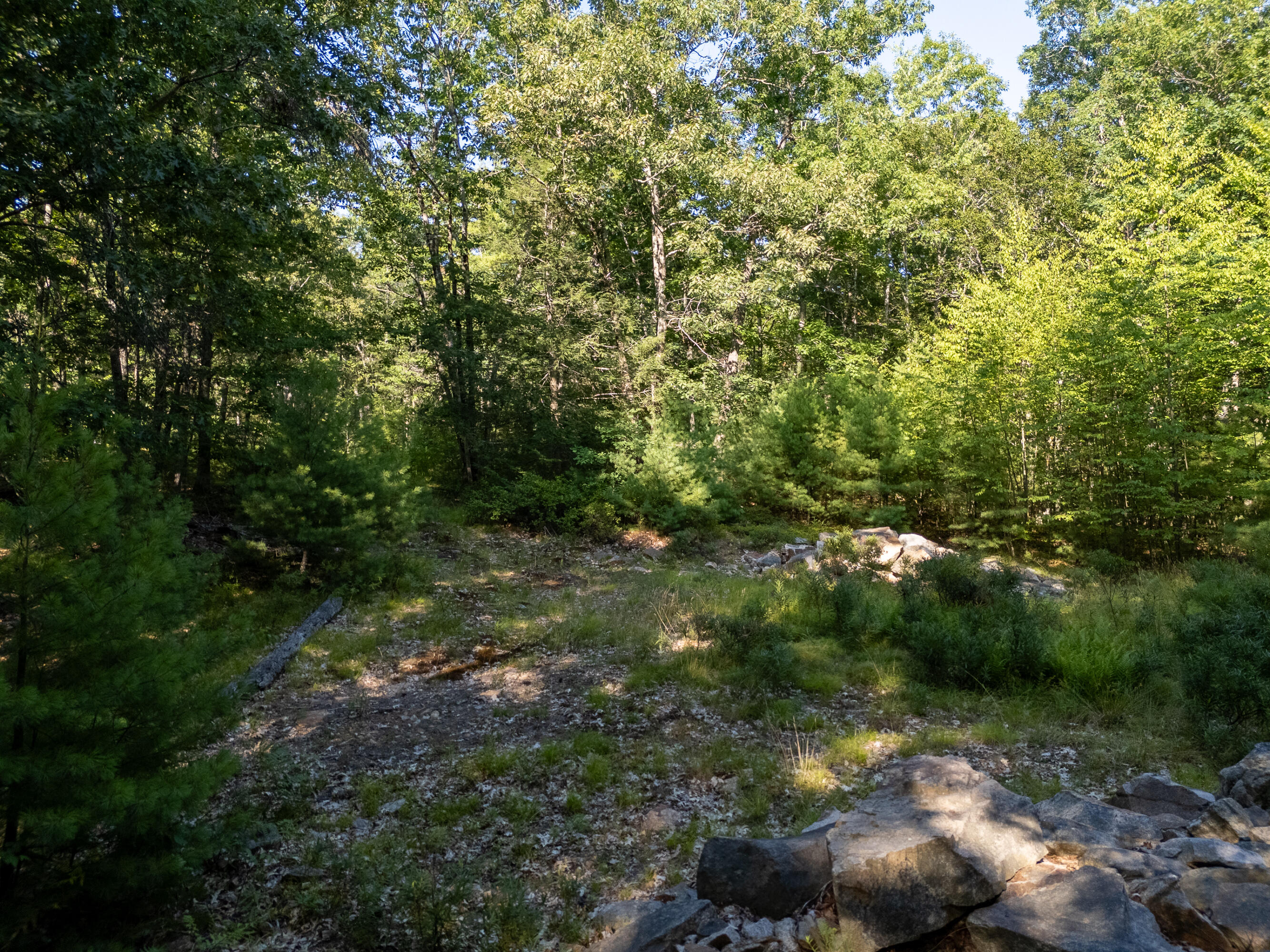 TBD Mountain Road