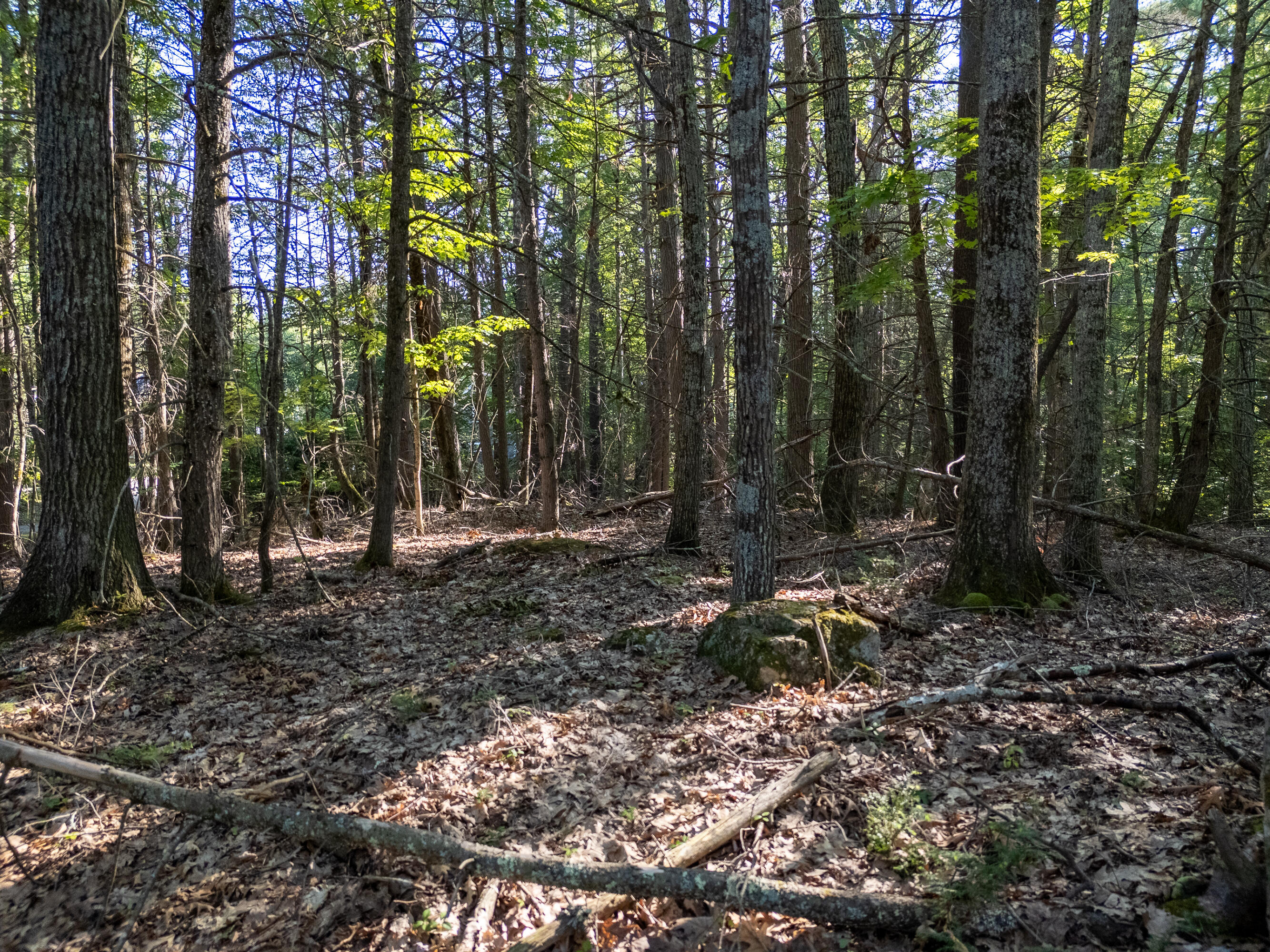 TBD Mountain Road