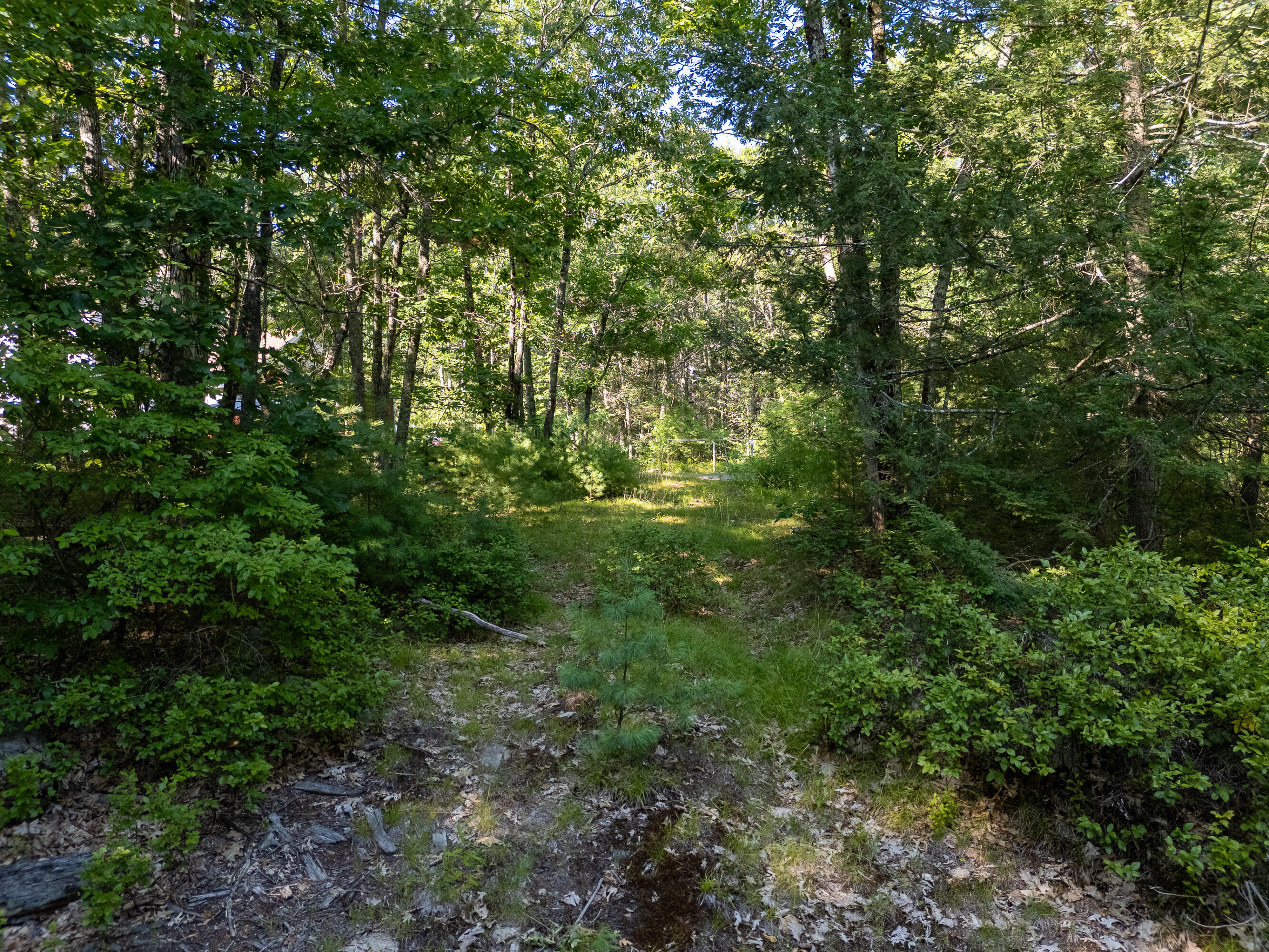 TBD Mountain Road