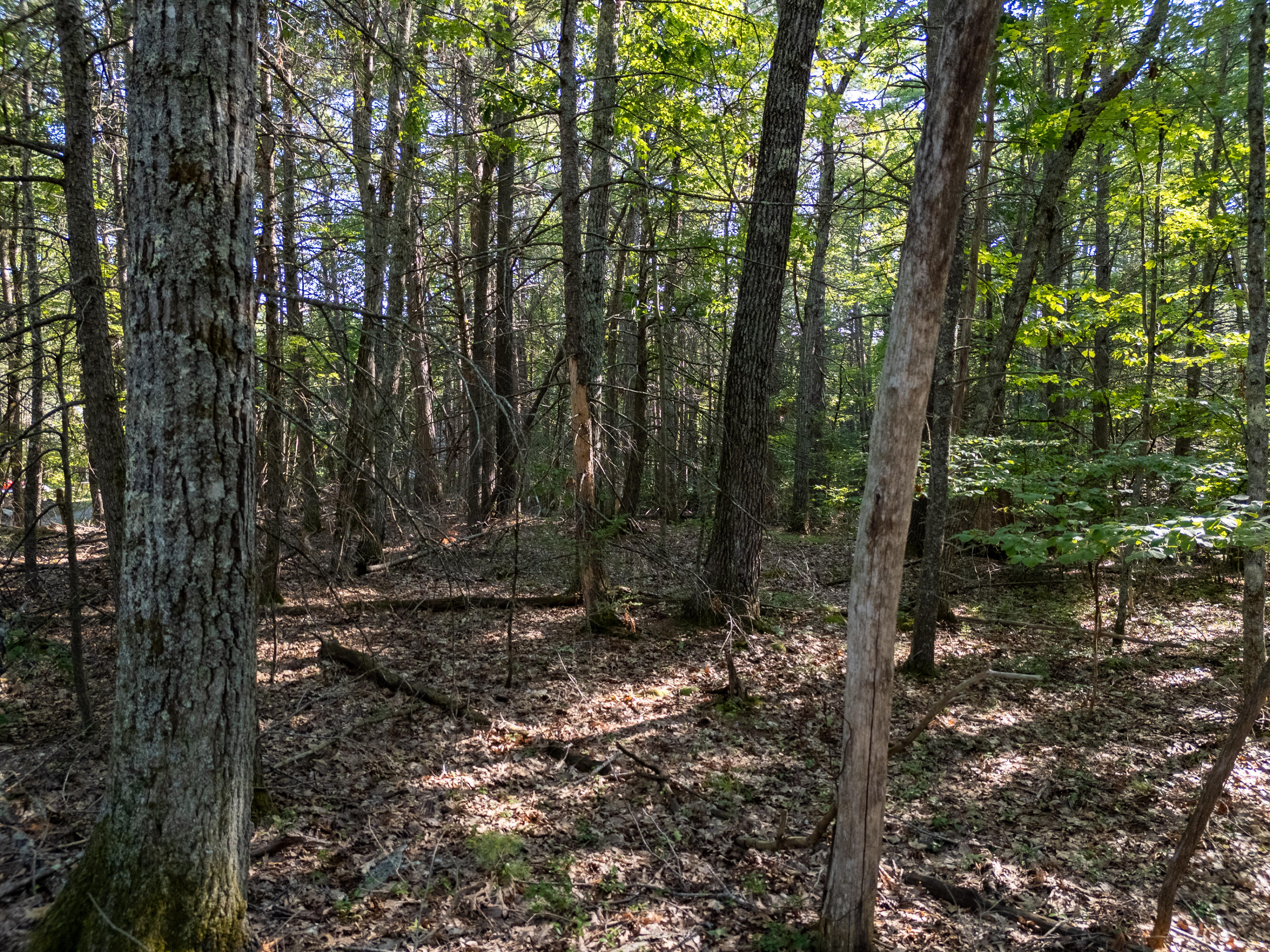 TBD Mountain Road