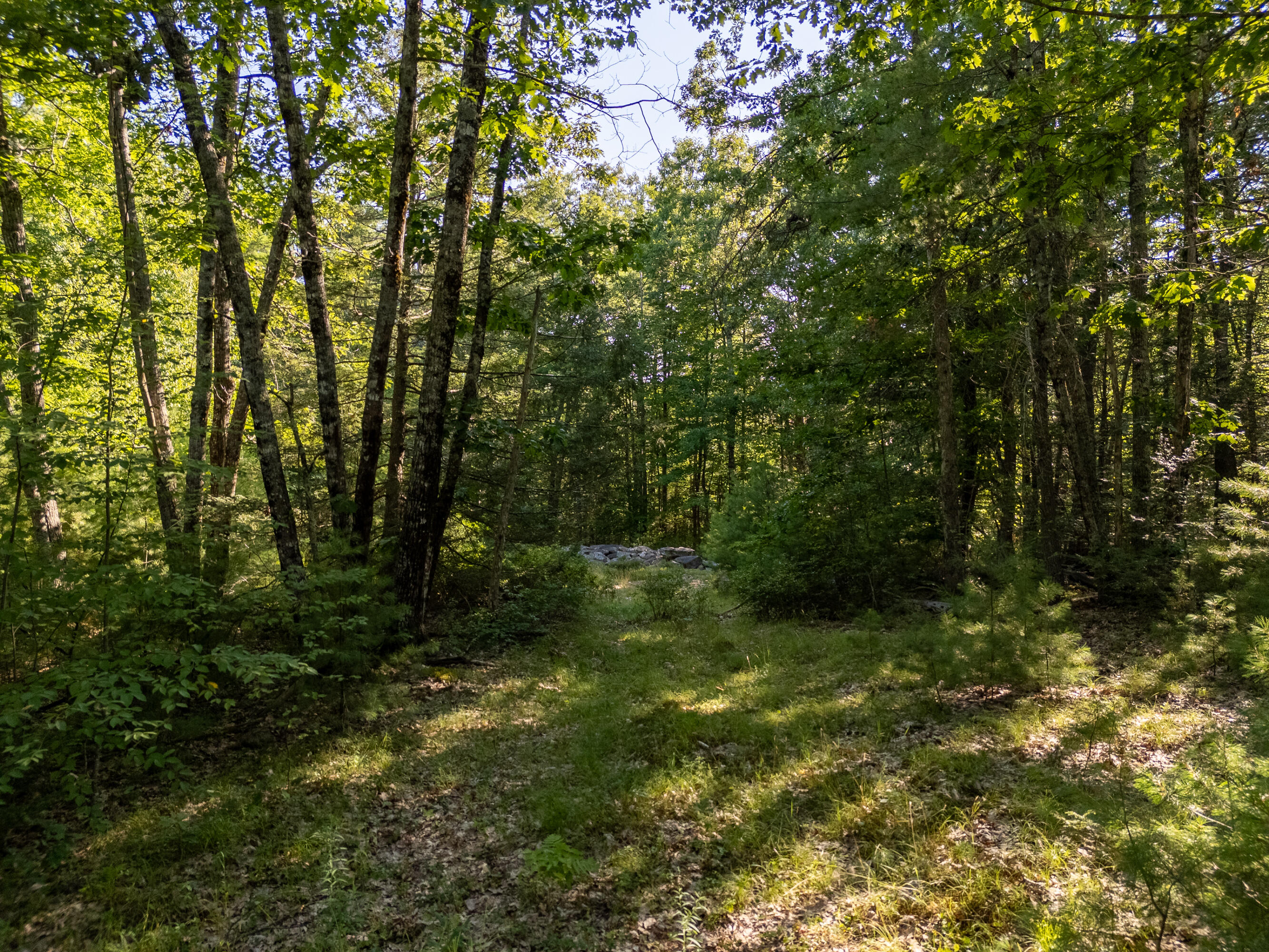 TBD Mountain Road
