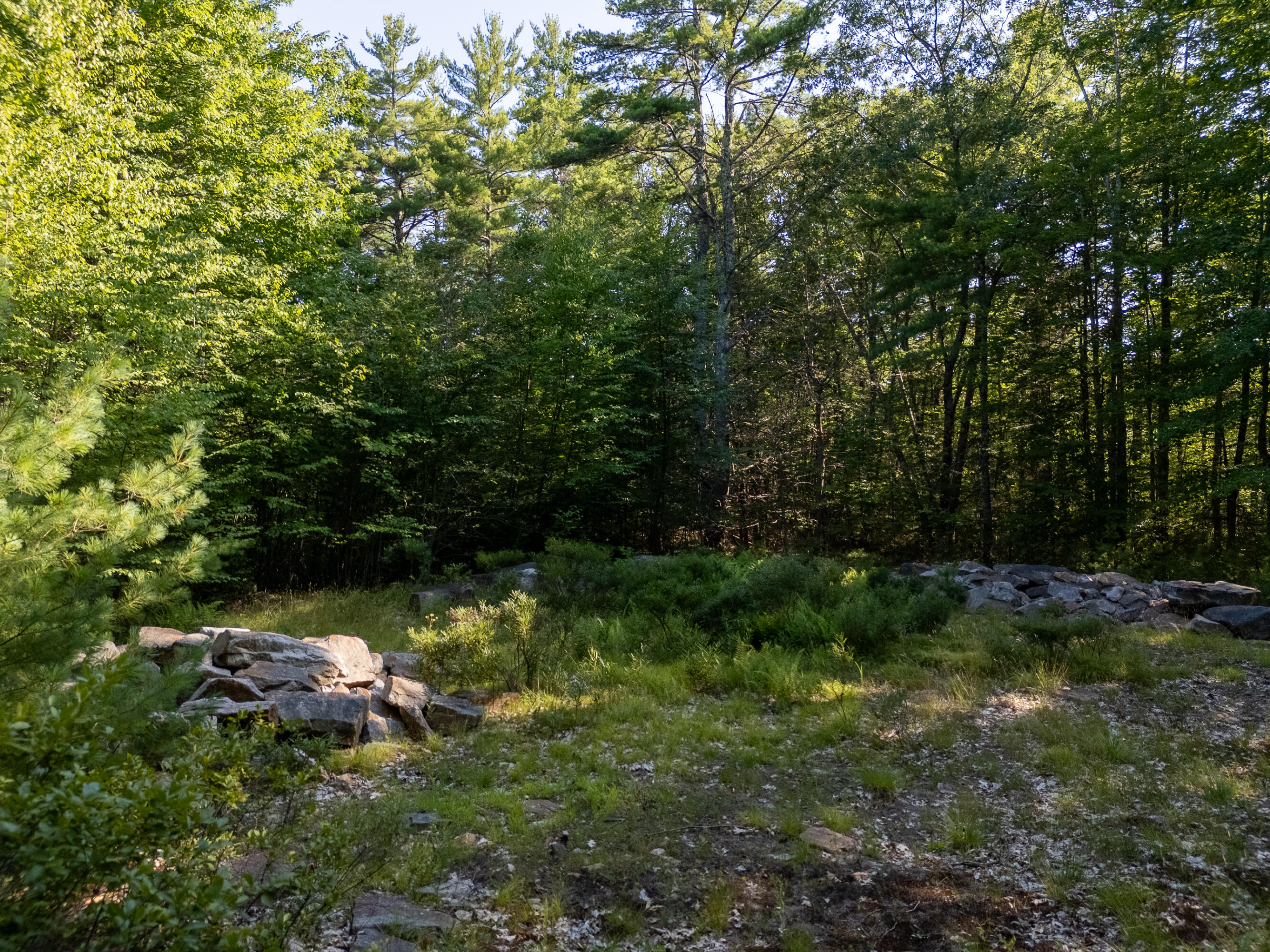 TBD Mountain Road