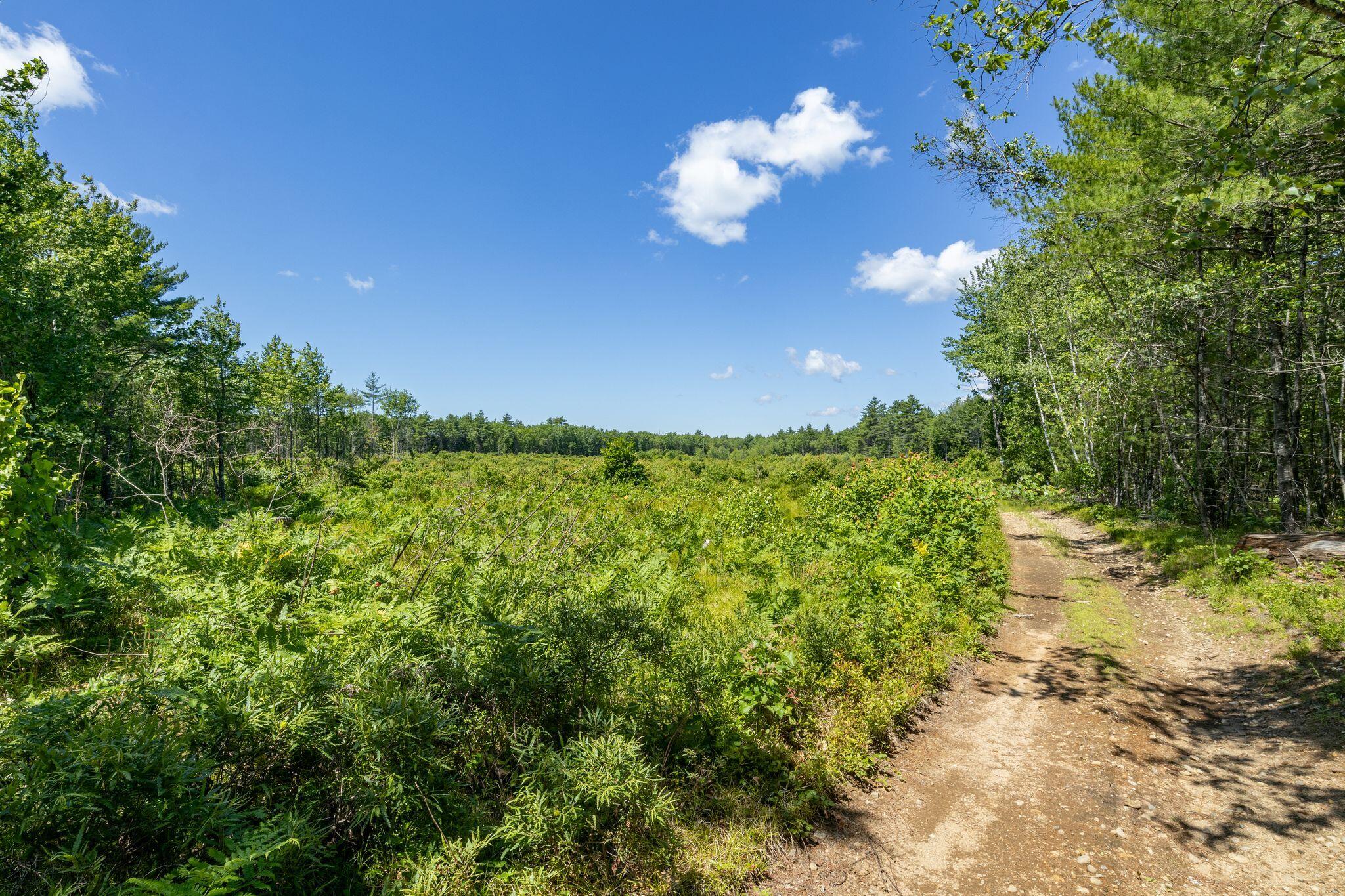 73 Acres Main Street