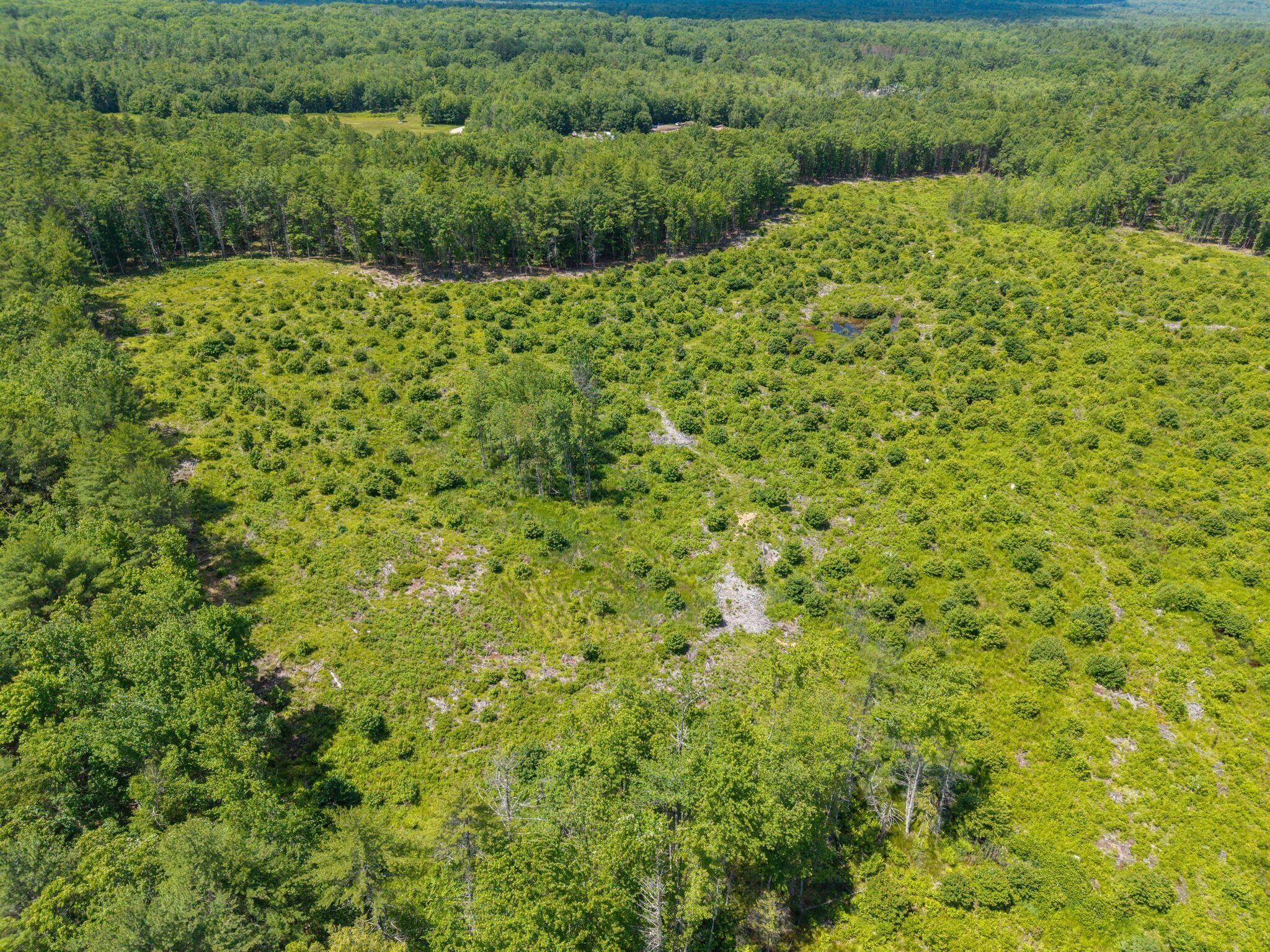 73 Acres Main Street