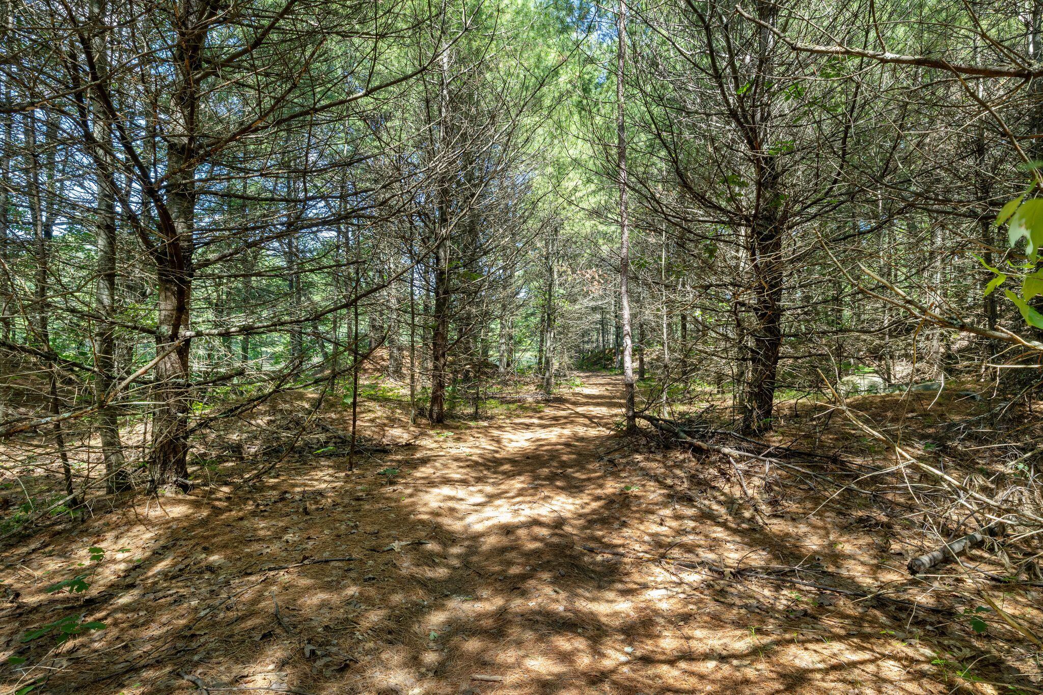 73 Acres Main Street