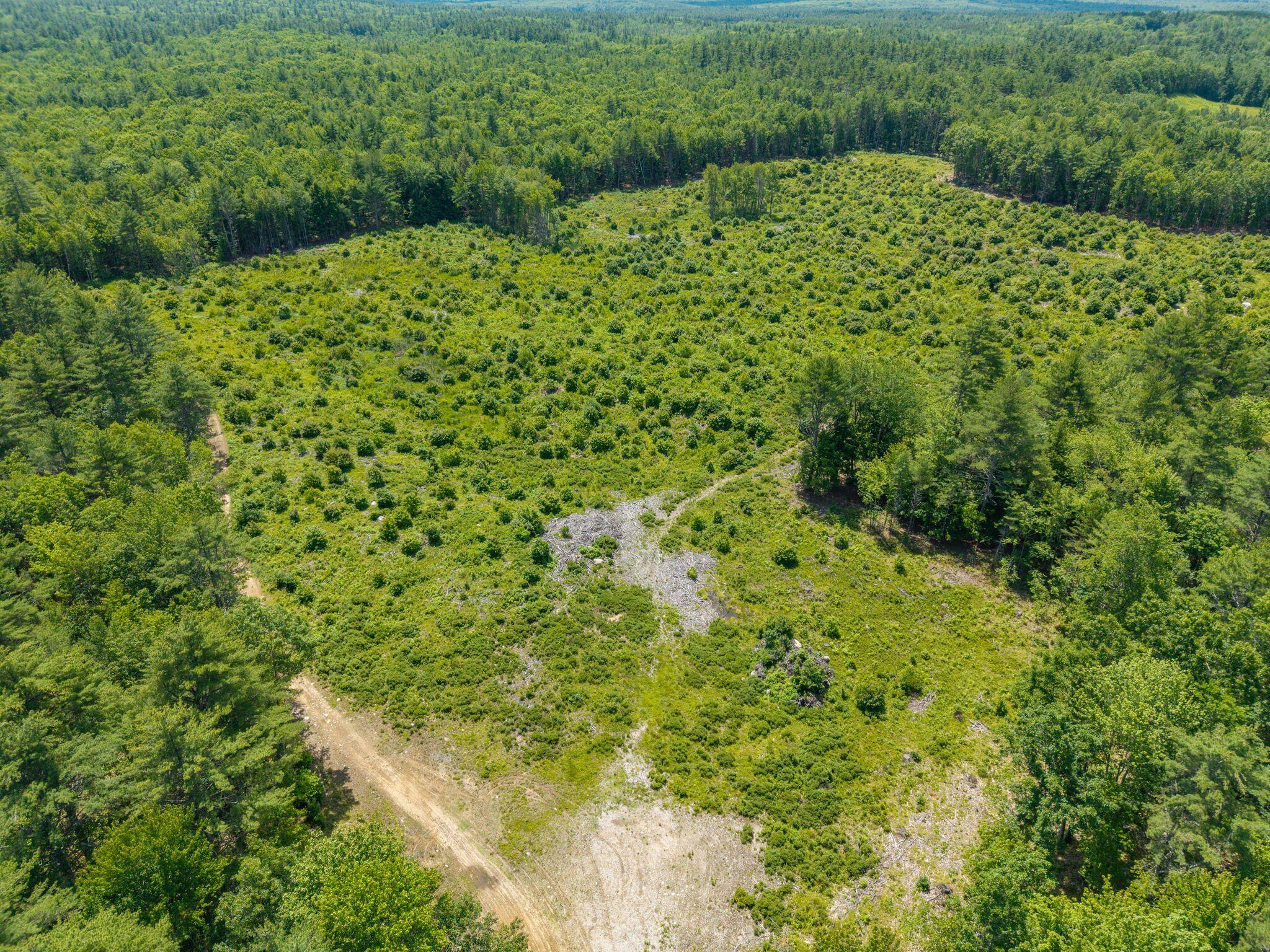 73 Acres Main Street