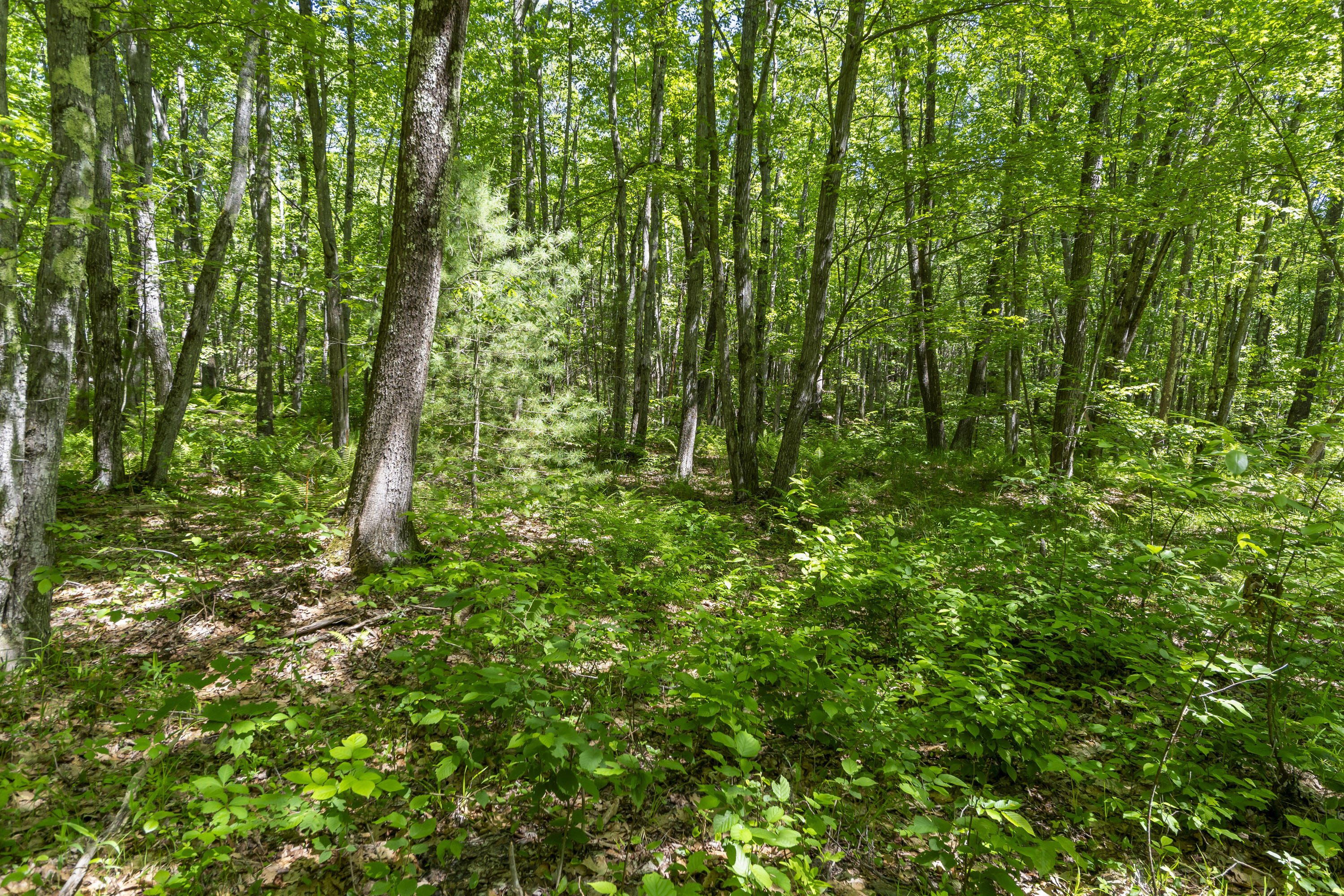 Lot 3 Kennebrook Lane