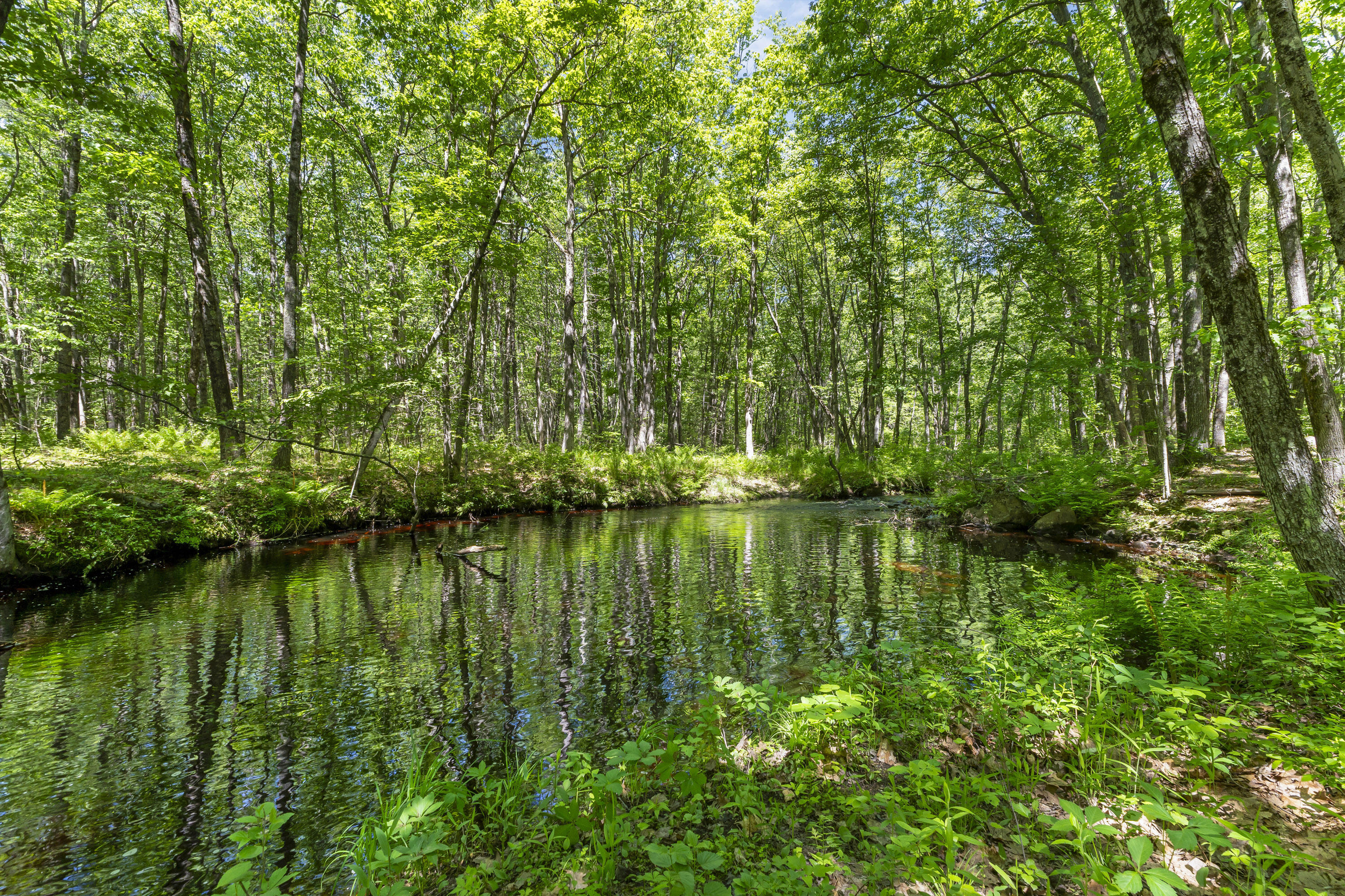 Lot 3 Kennebrook Lane
