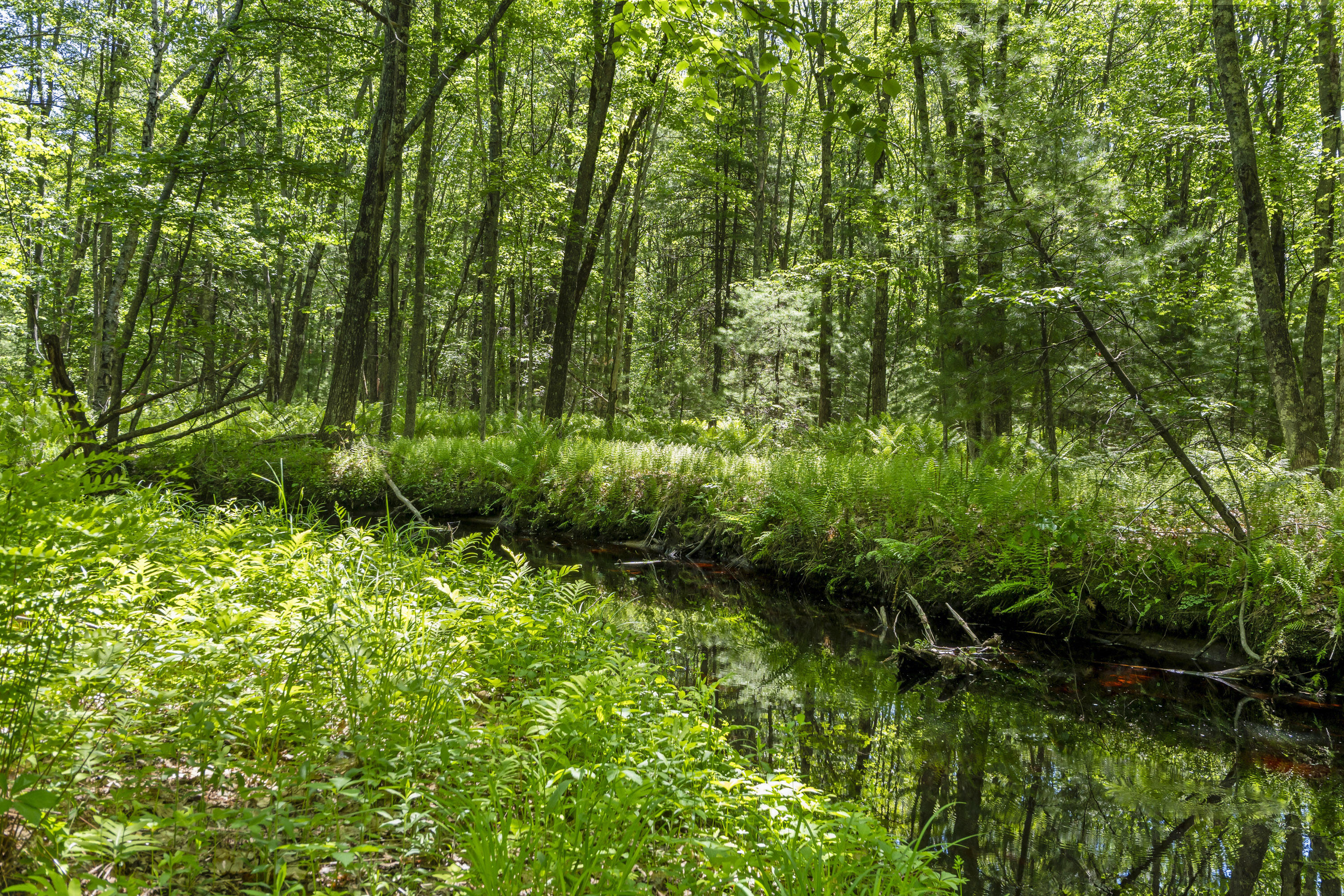 Lot 3 Kennebrook Lane