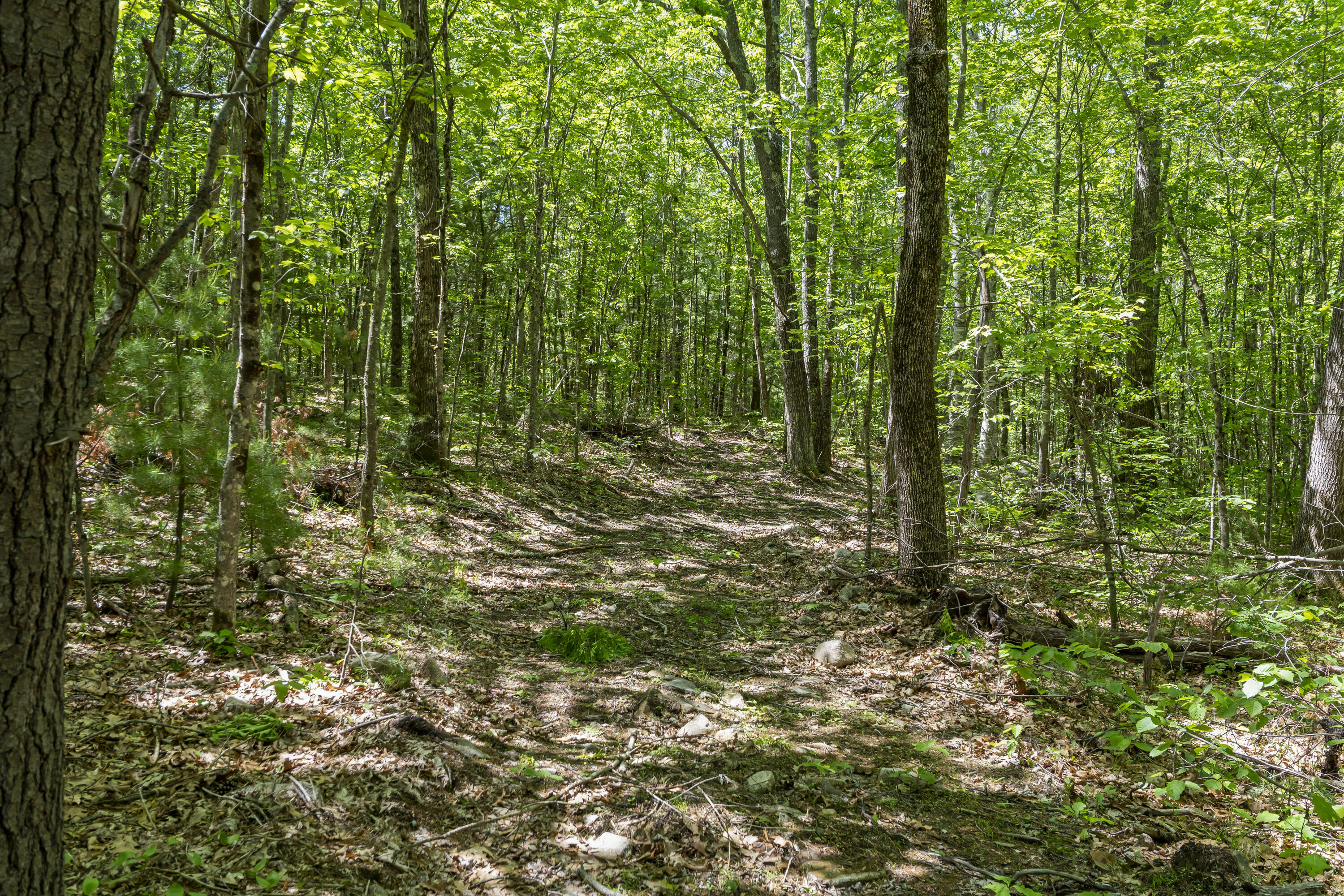 Lot 3 Kennebrook Lane