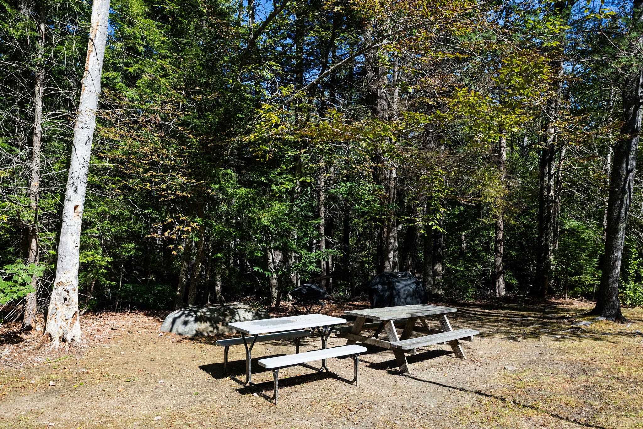 118 Weirs Road Unit: 215