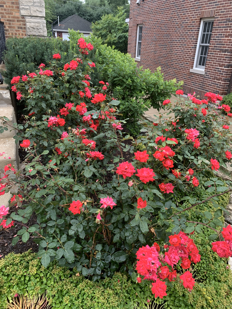 4701 Woodland Avenue