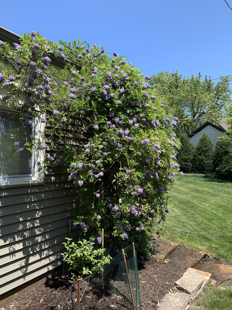 4701 Woodland Avenue