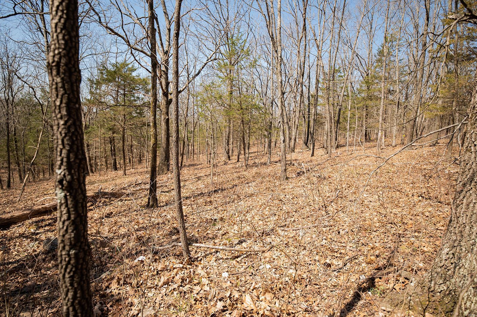 1484 County Road 706