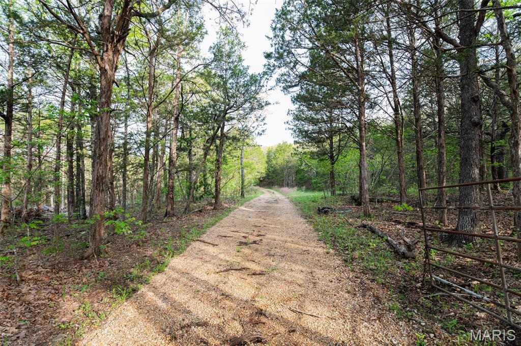 16898 Highway 42