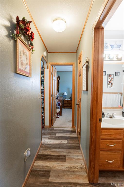 203 W Lehnhoff Drive