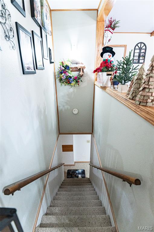 203 W Lehnhoff Drive