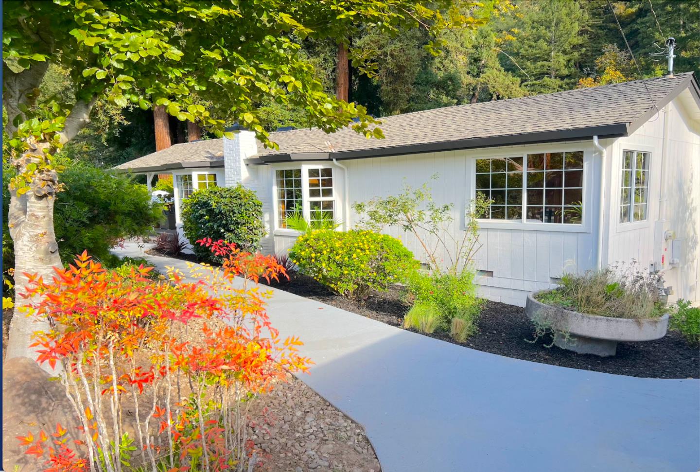 220 Lazywoods Road