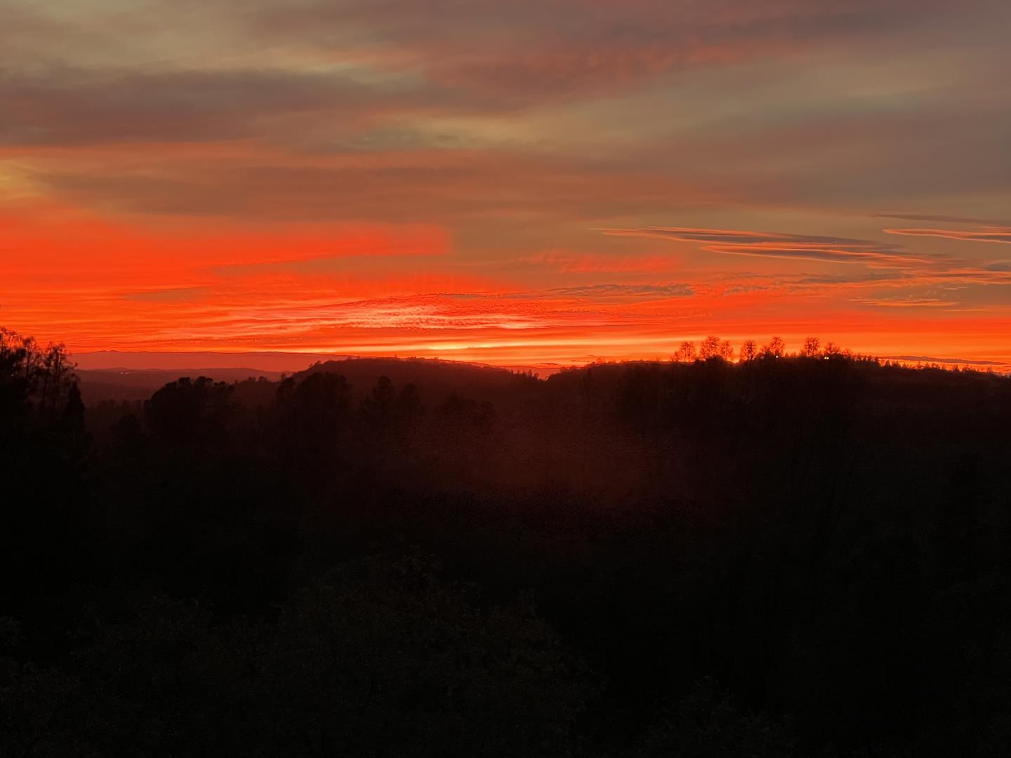 3346 Verde Robles Drive