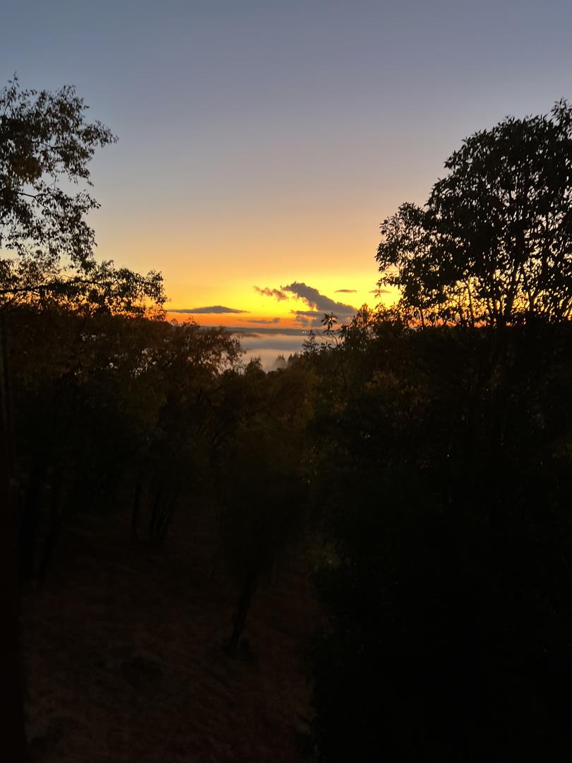 3346 Verde Robles Drive