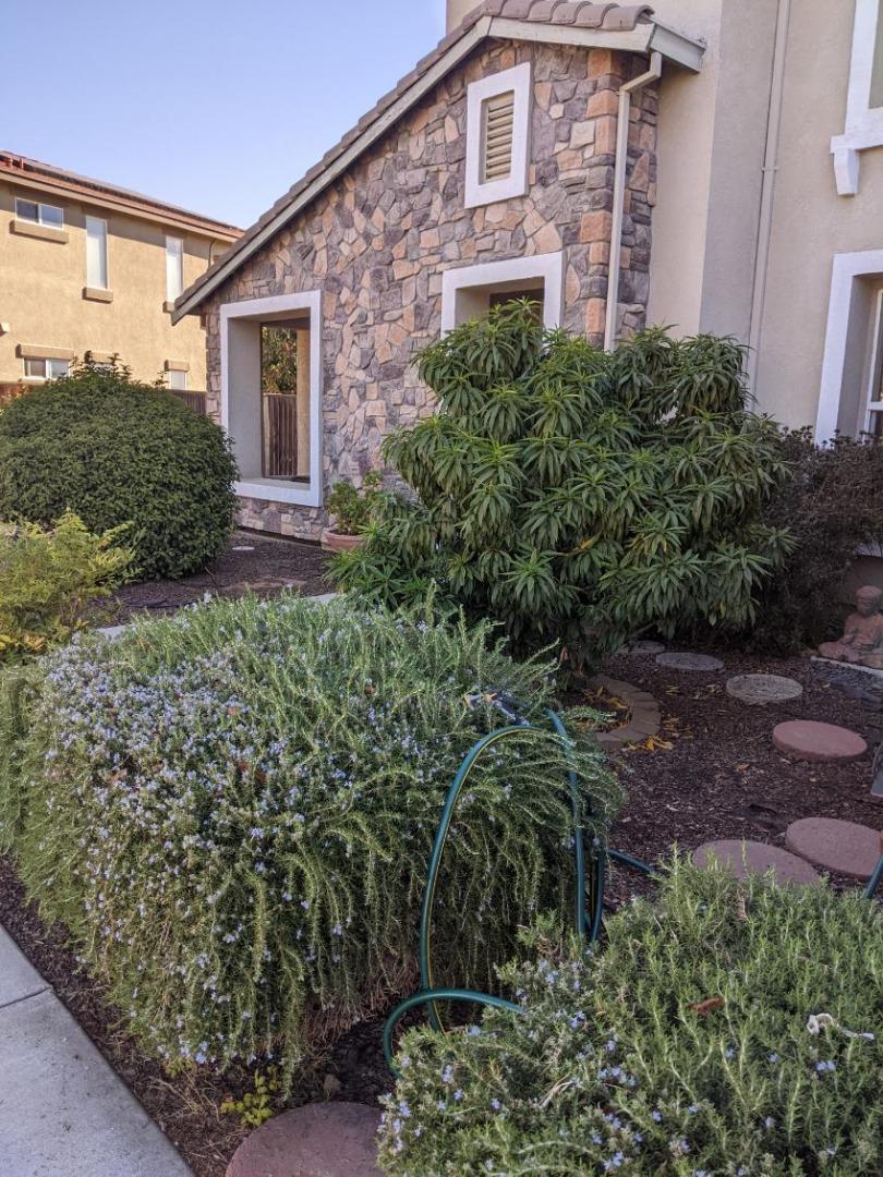 15220 Torrey Pines Circle