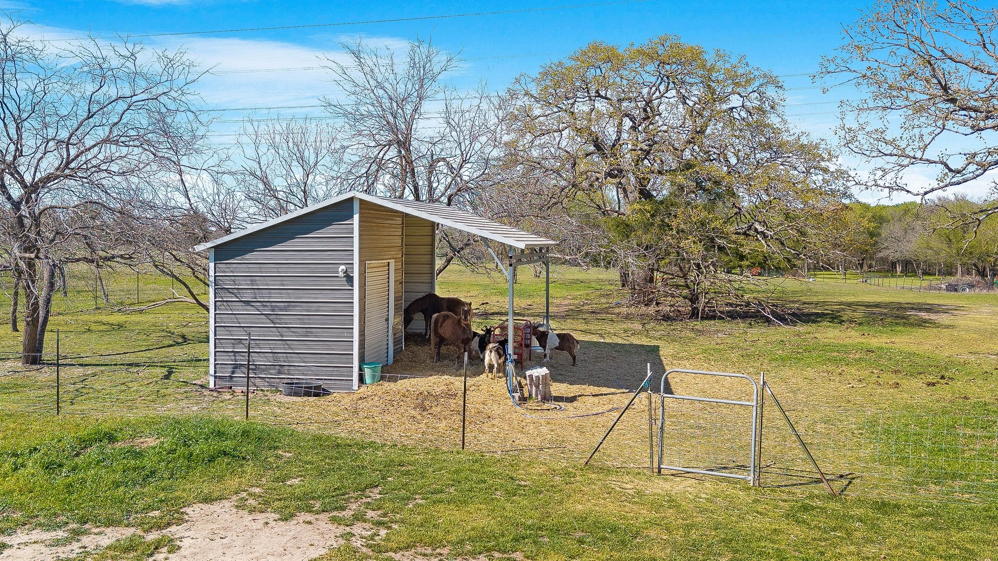 4490 Sue Ellen Drive