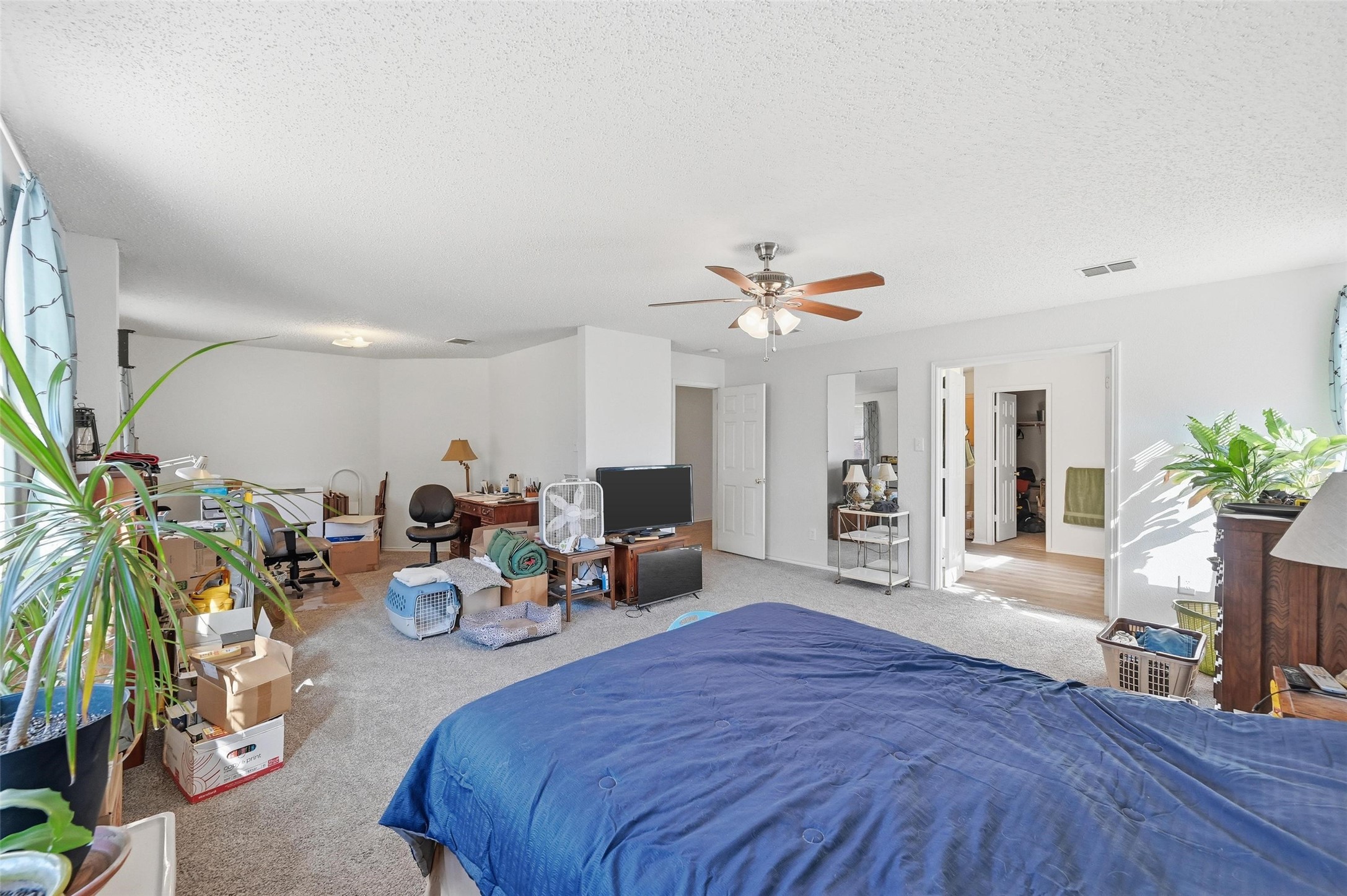 2215 Coyote Trail