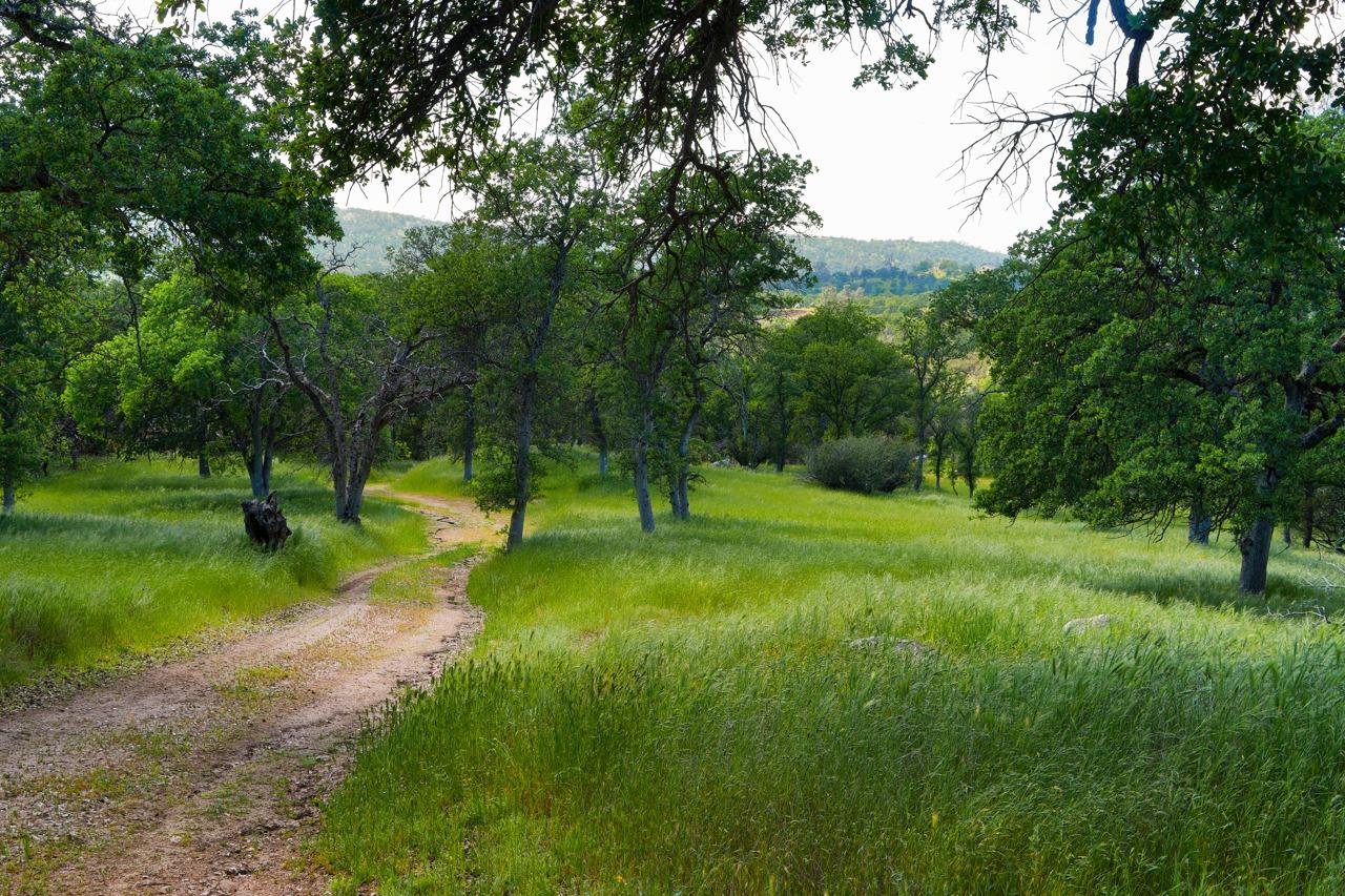 34114 Polk Ranch Road