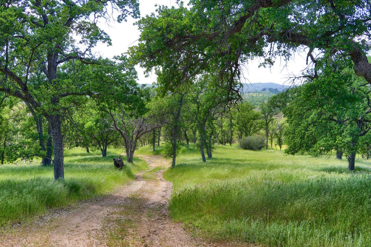 34114 Polk Ranch Road