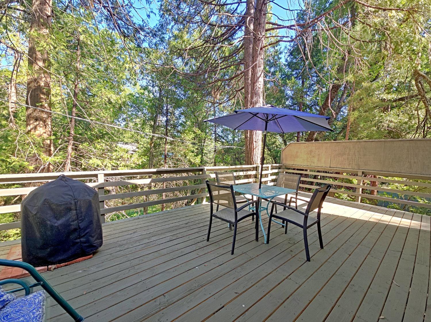 54696 Crane Valley
