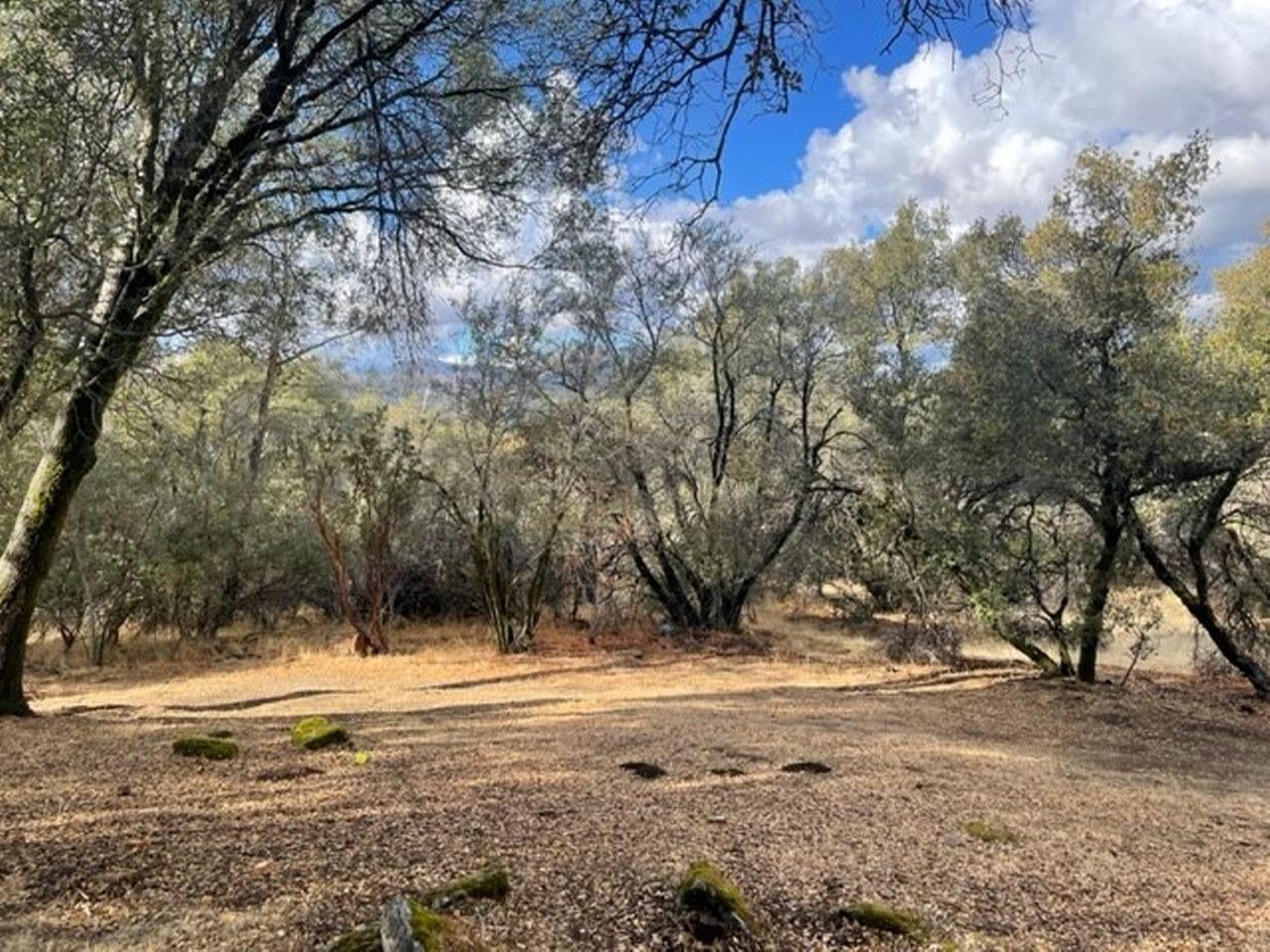 58632 Rainbow Drive