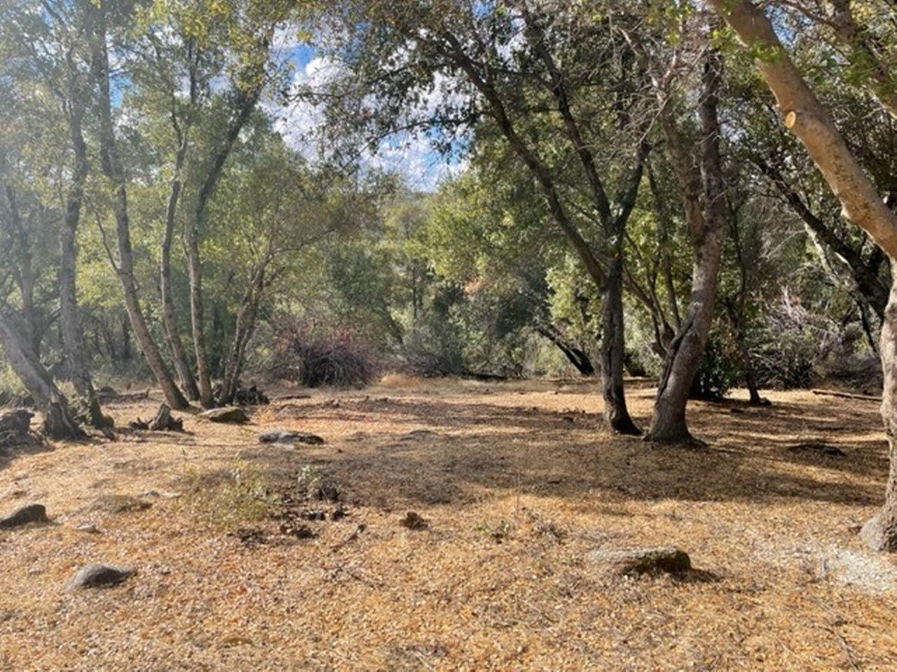 58632 Rainbow Drive