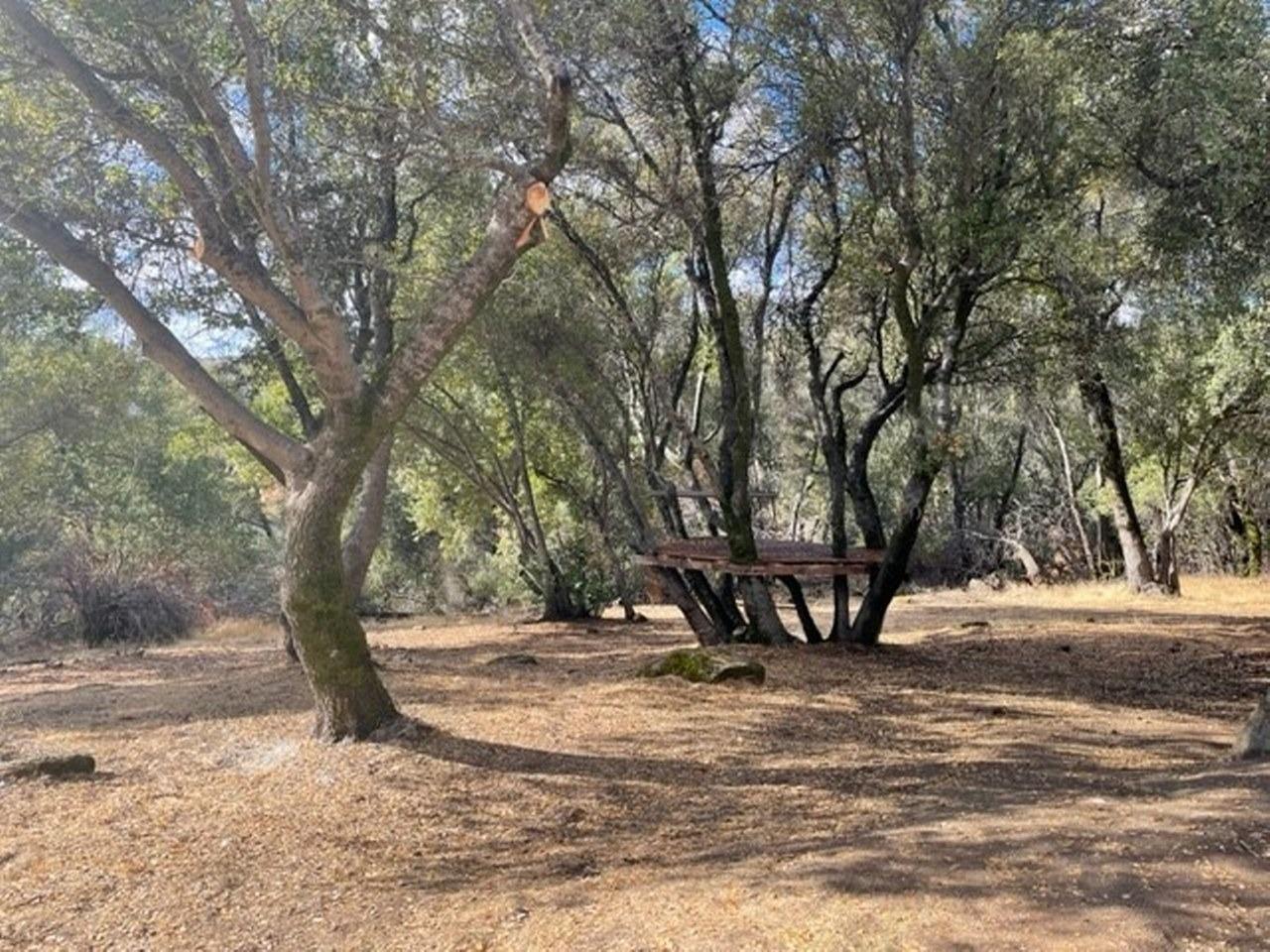 58632 Rainbow Drive