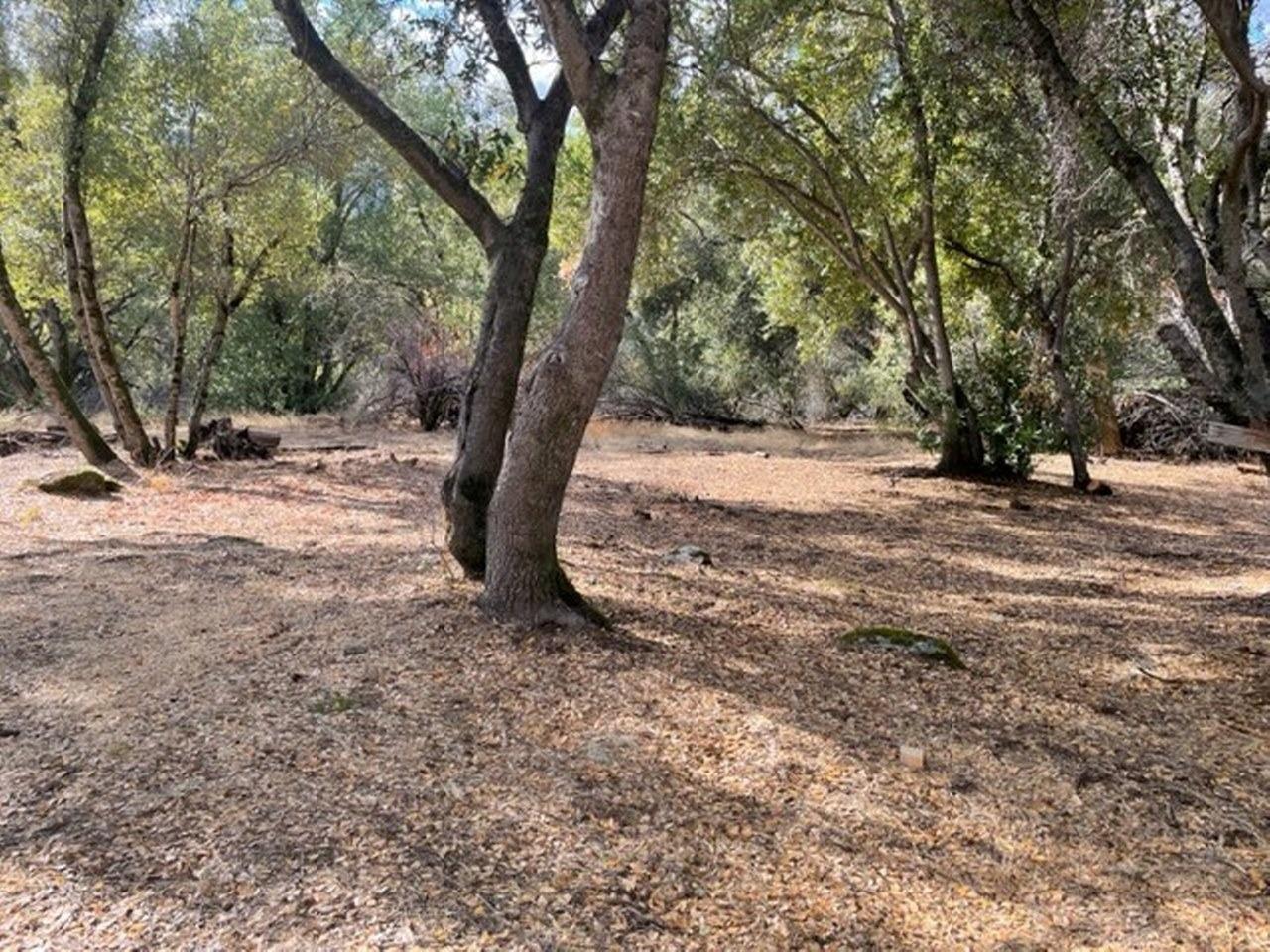 58632 Rainbow Drive