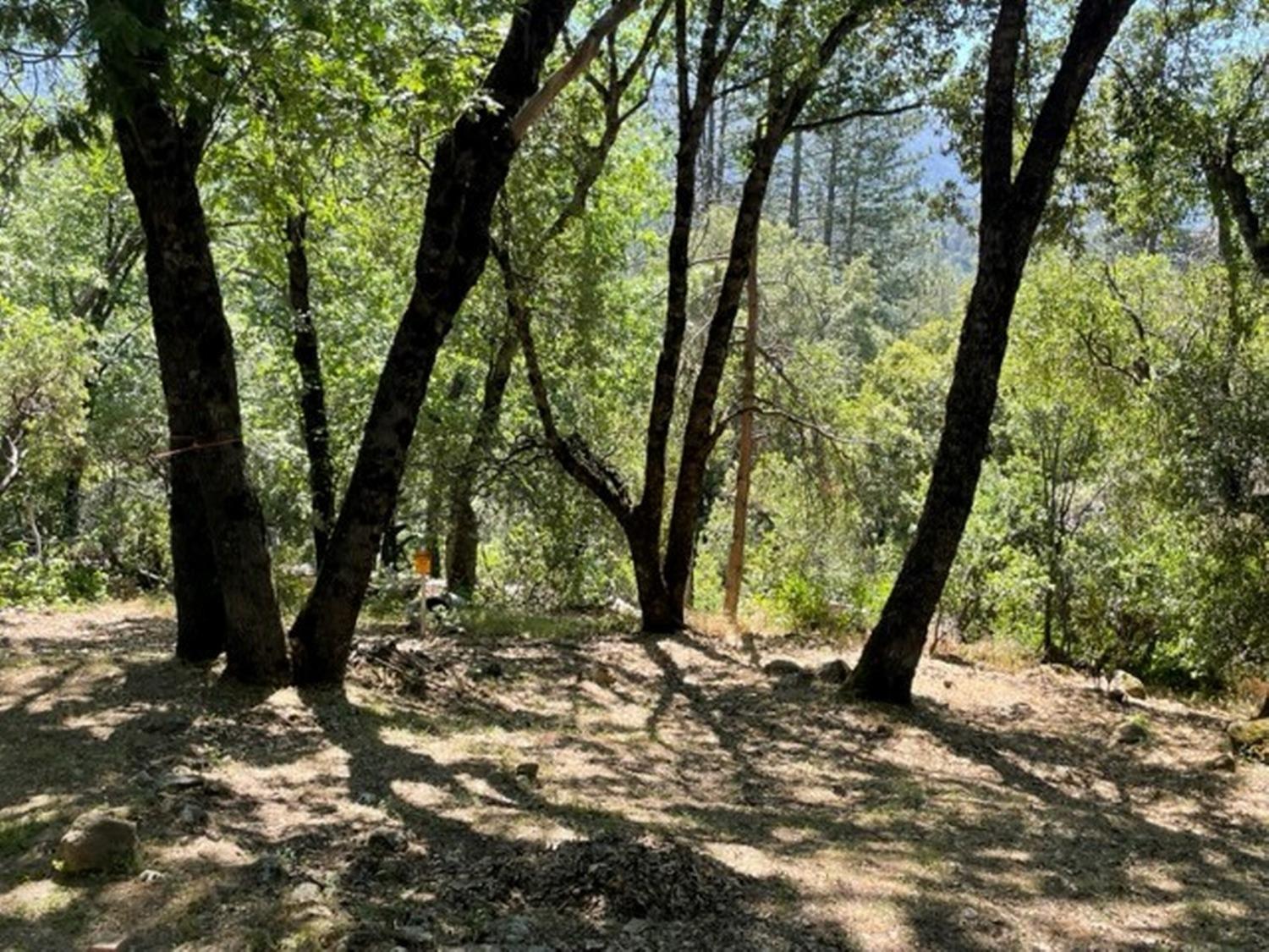 35935 Sierra Linda Drive