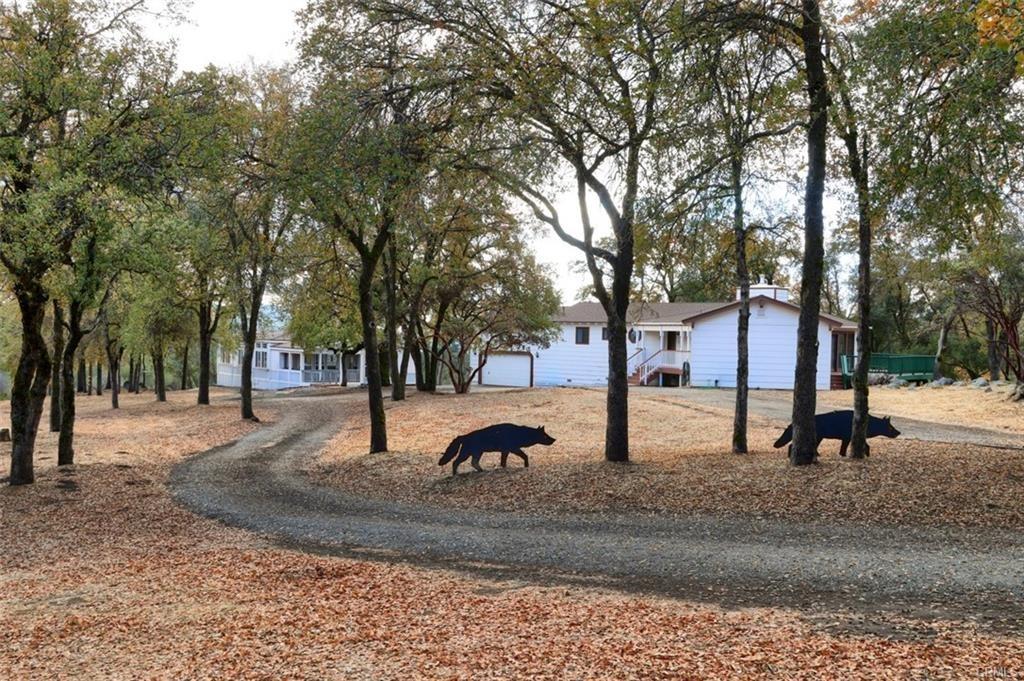 32786 Road 221