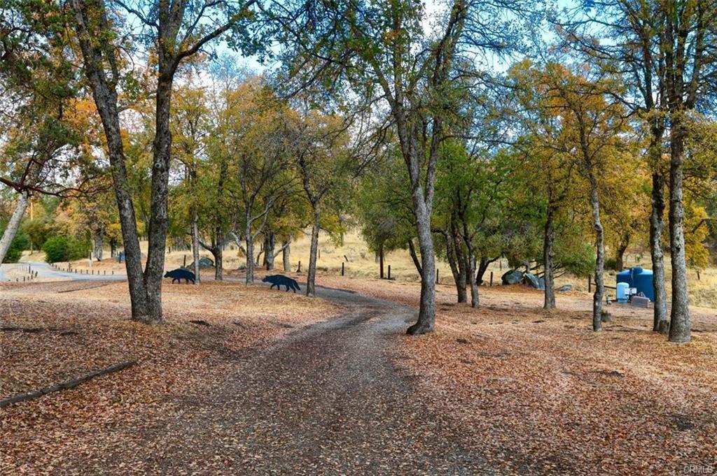 32786 Road 221