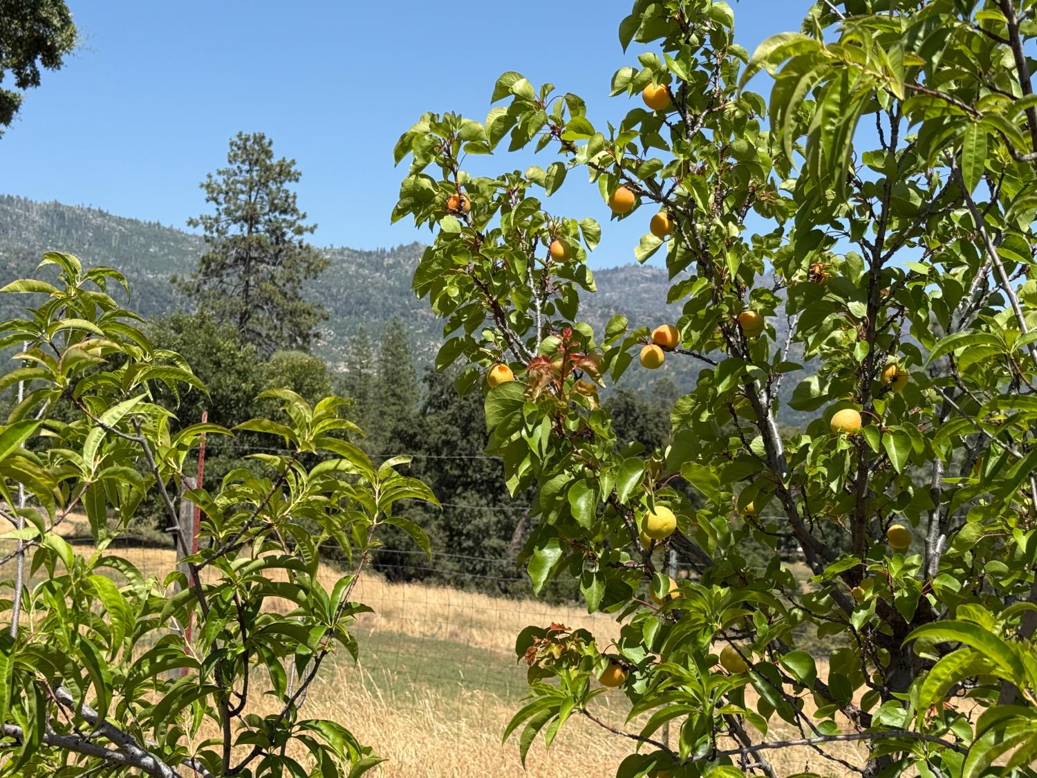 34133 Keller Road