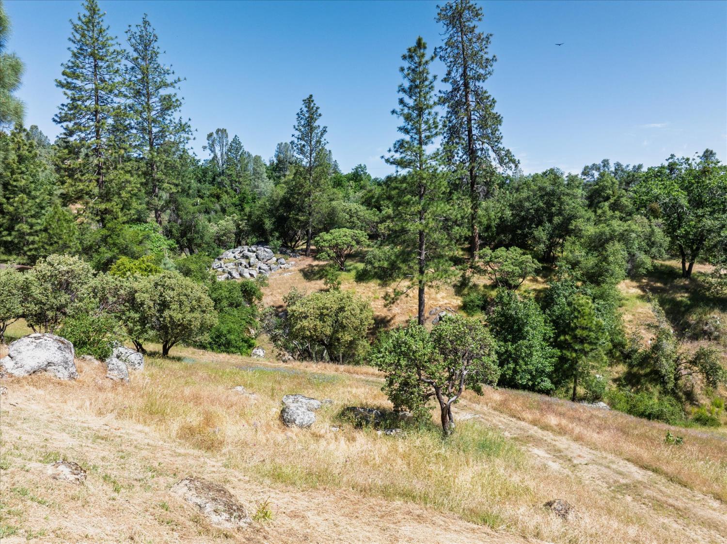 34133 Keller Road
