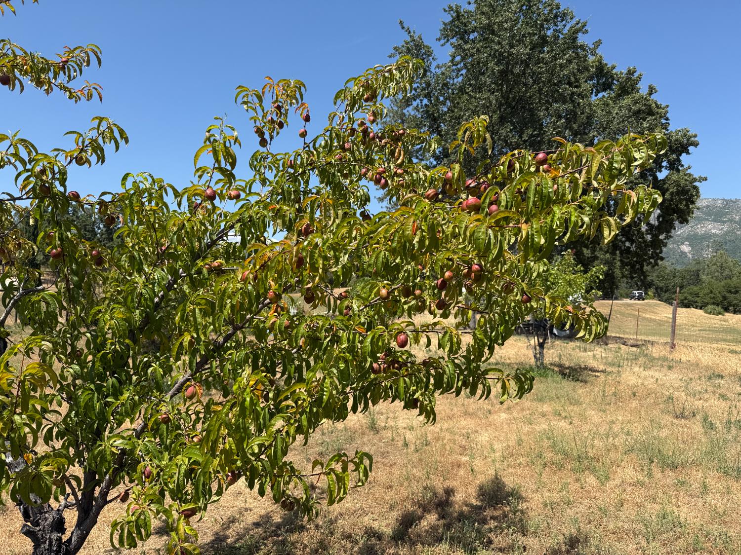 34133 Keller Road