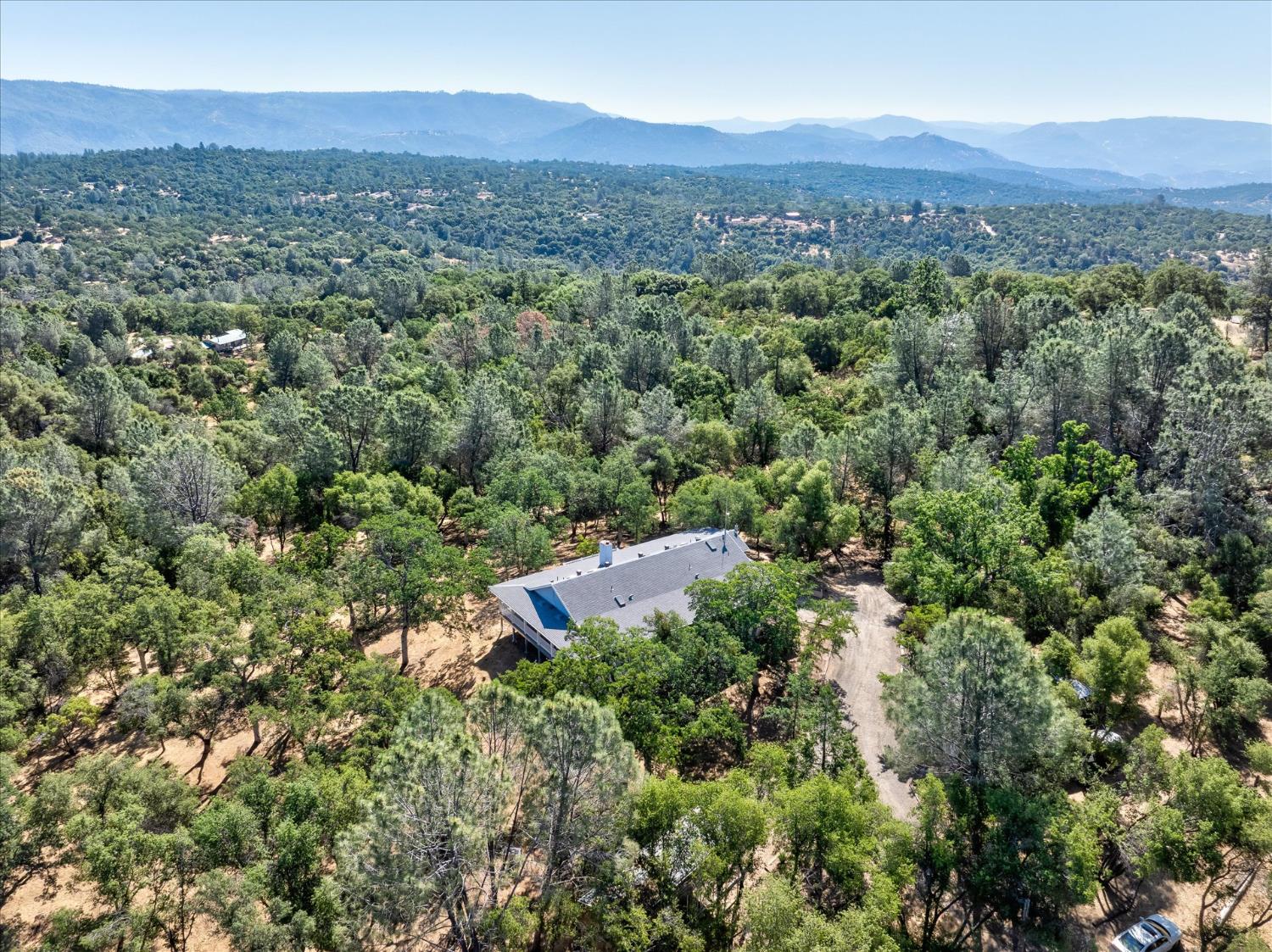 31493 Hazelwood