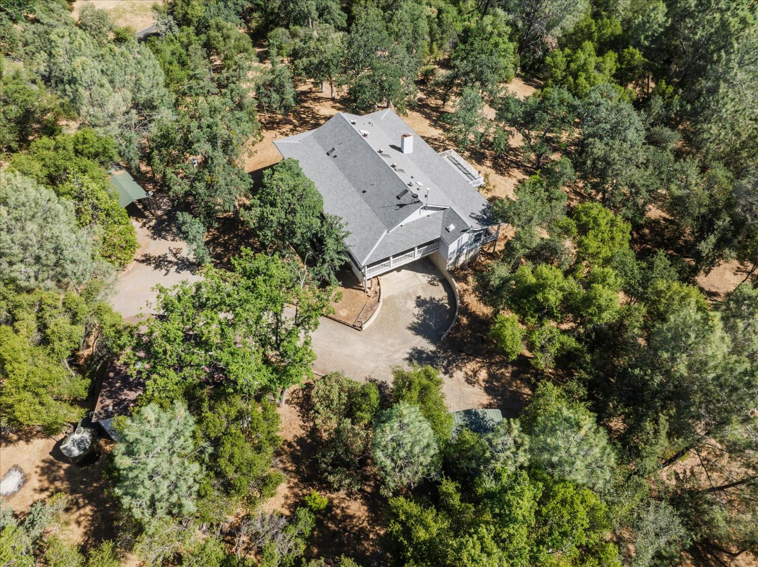 31493 Hazelwood
